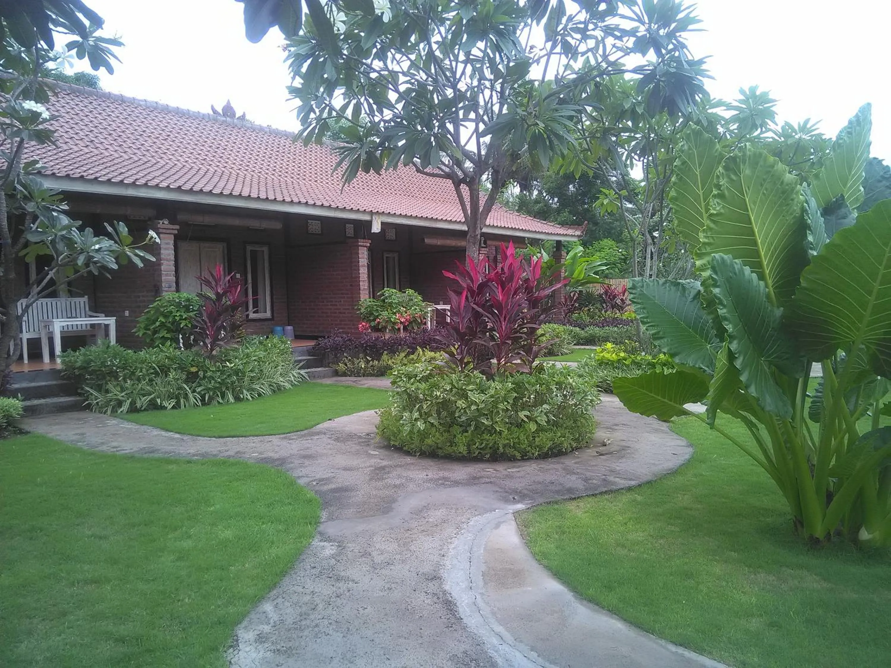 Garden view in Krisna Homestay