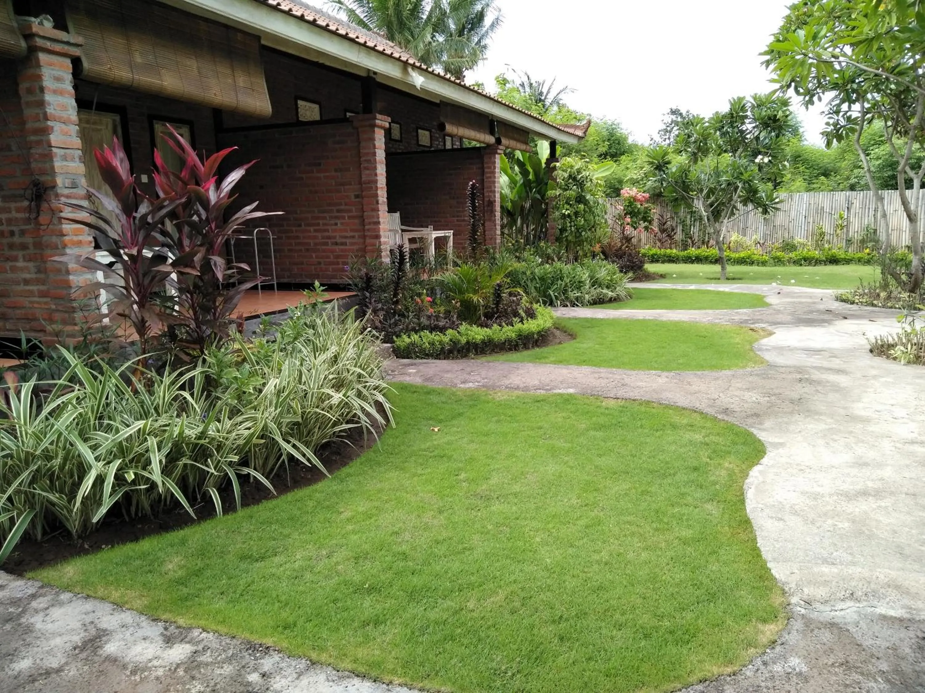 Garden in Krisna Homestay