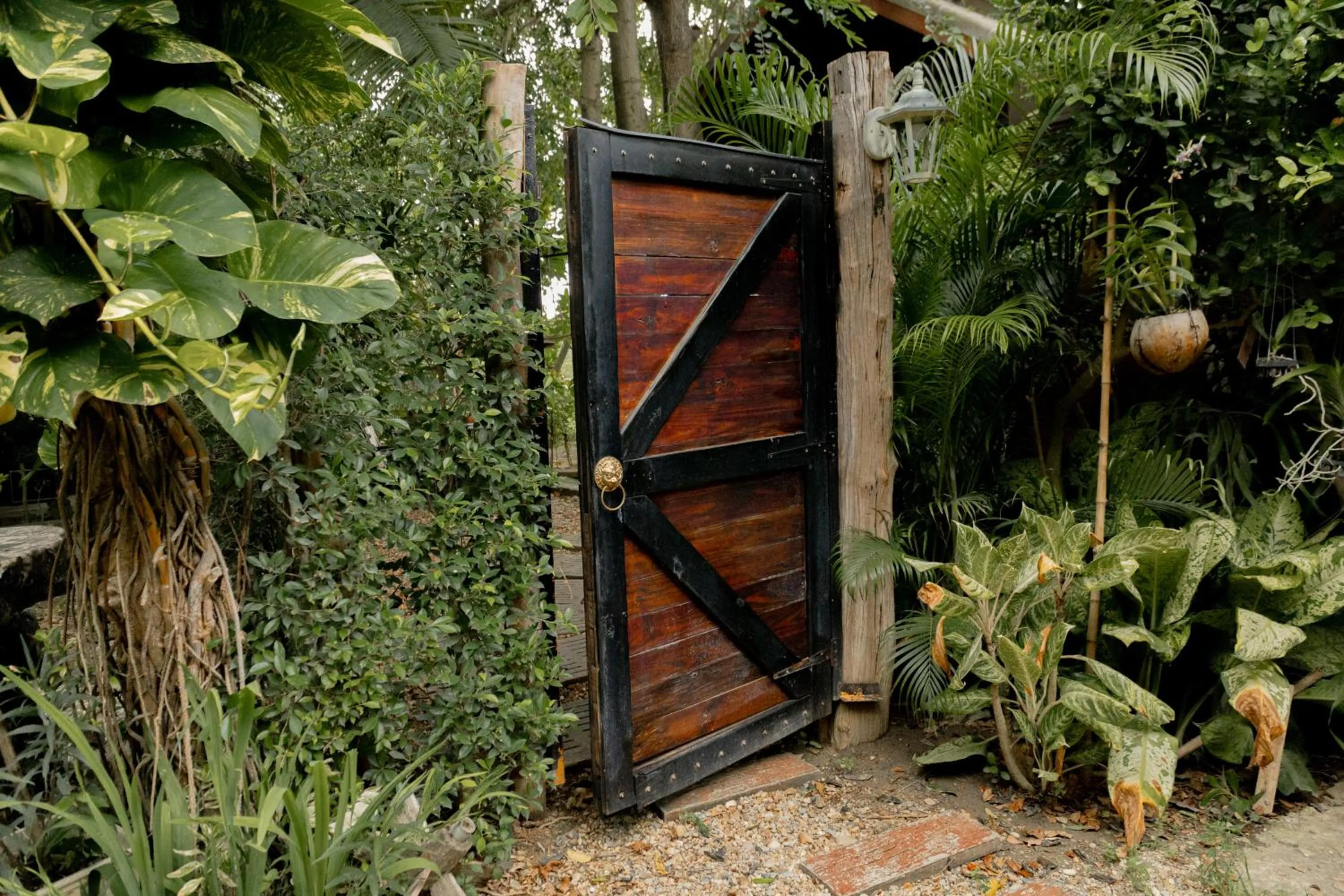 Garden view in The Antique Riverside Resort