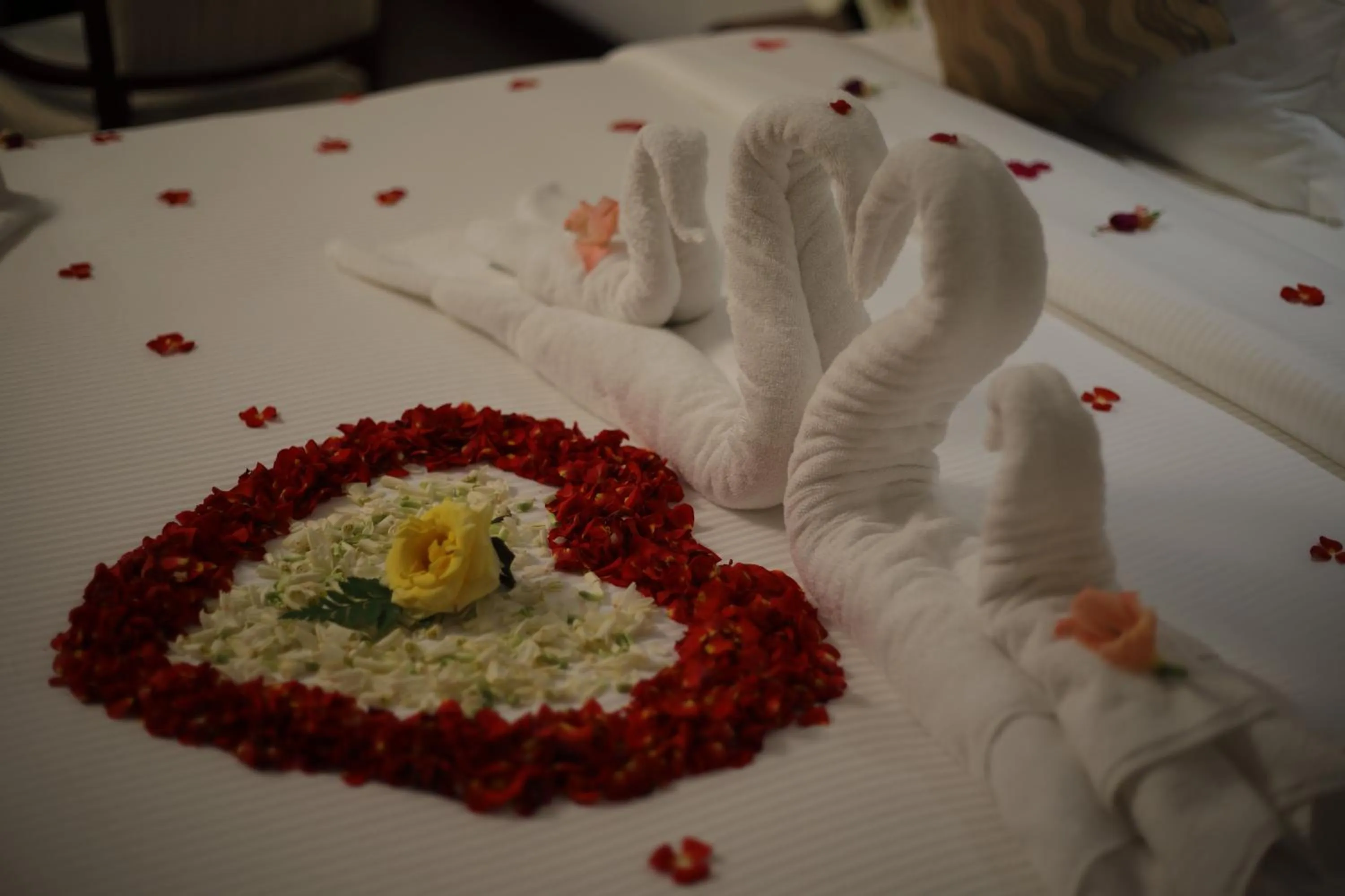 Bed in Issacs Residency