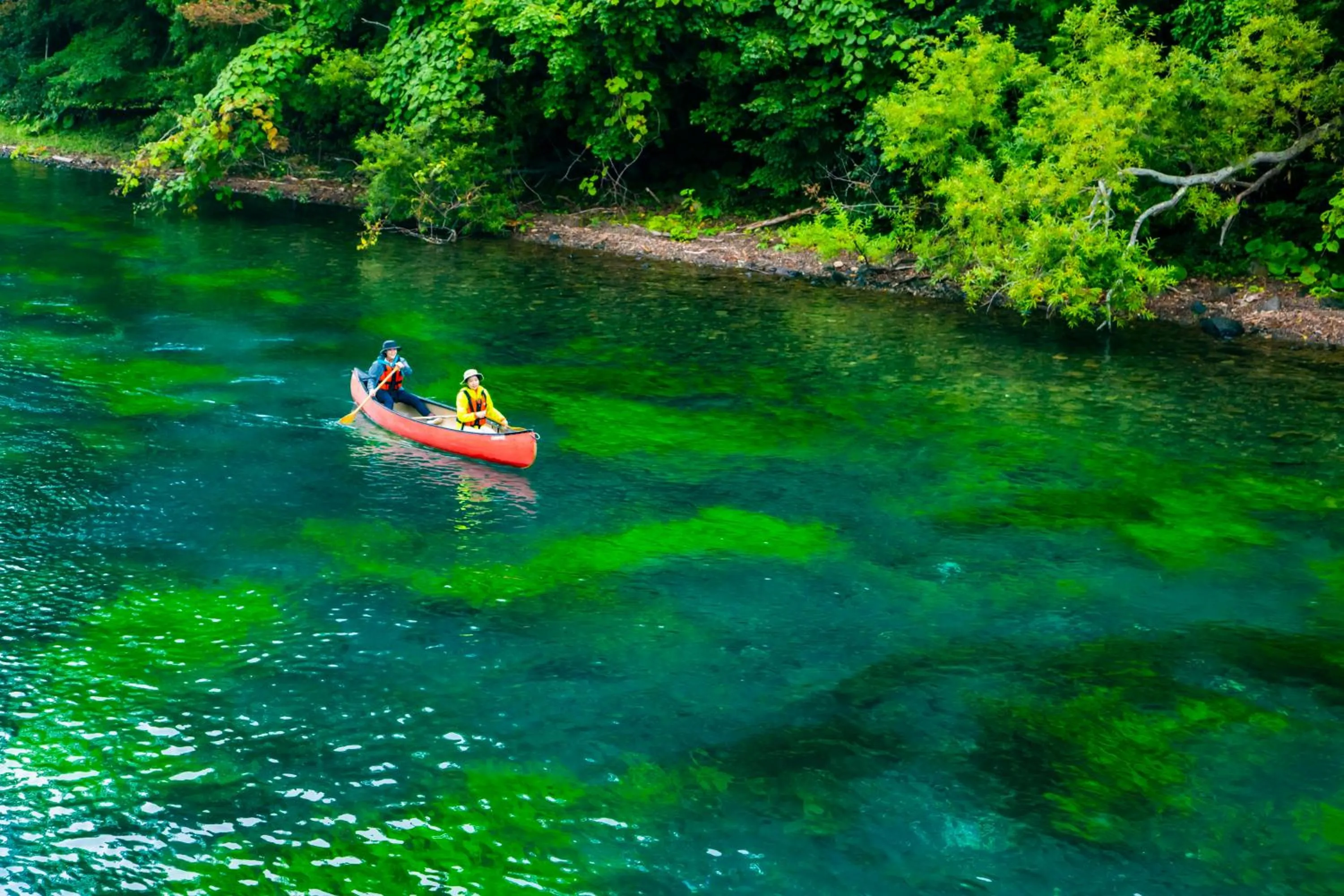 Activities in Kyukamura Shikotsuko