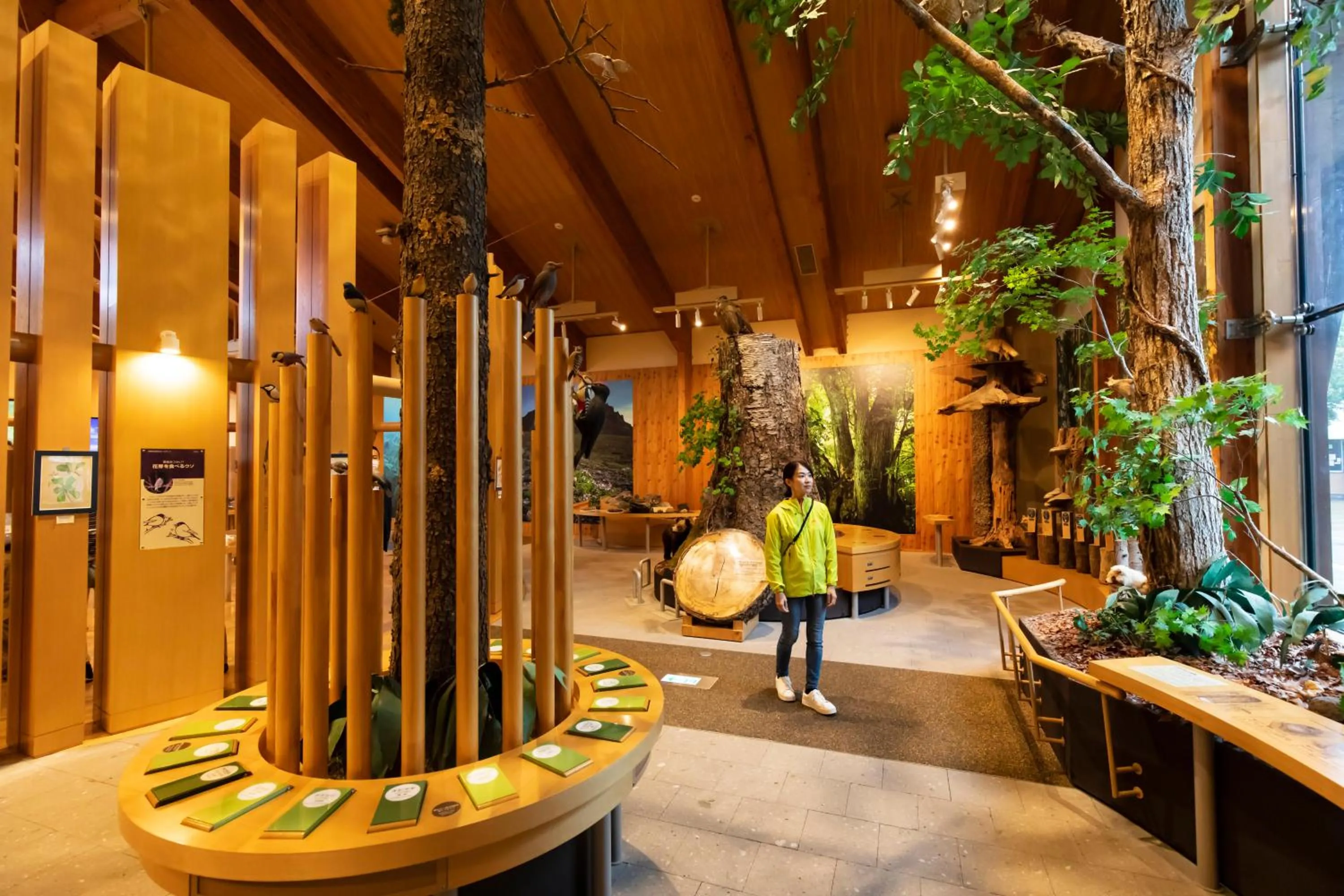 Nearby landmark in Kyukamura Shikotsuko