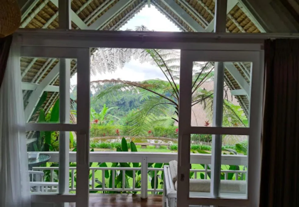 Village Above The Clouds