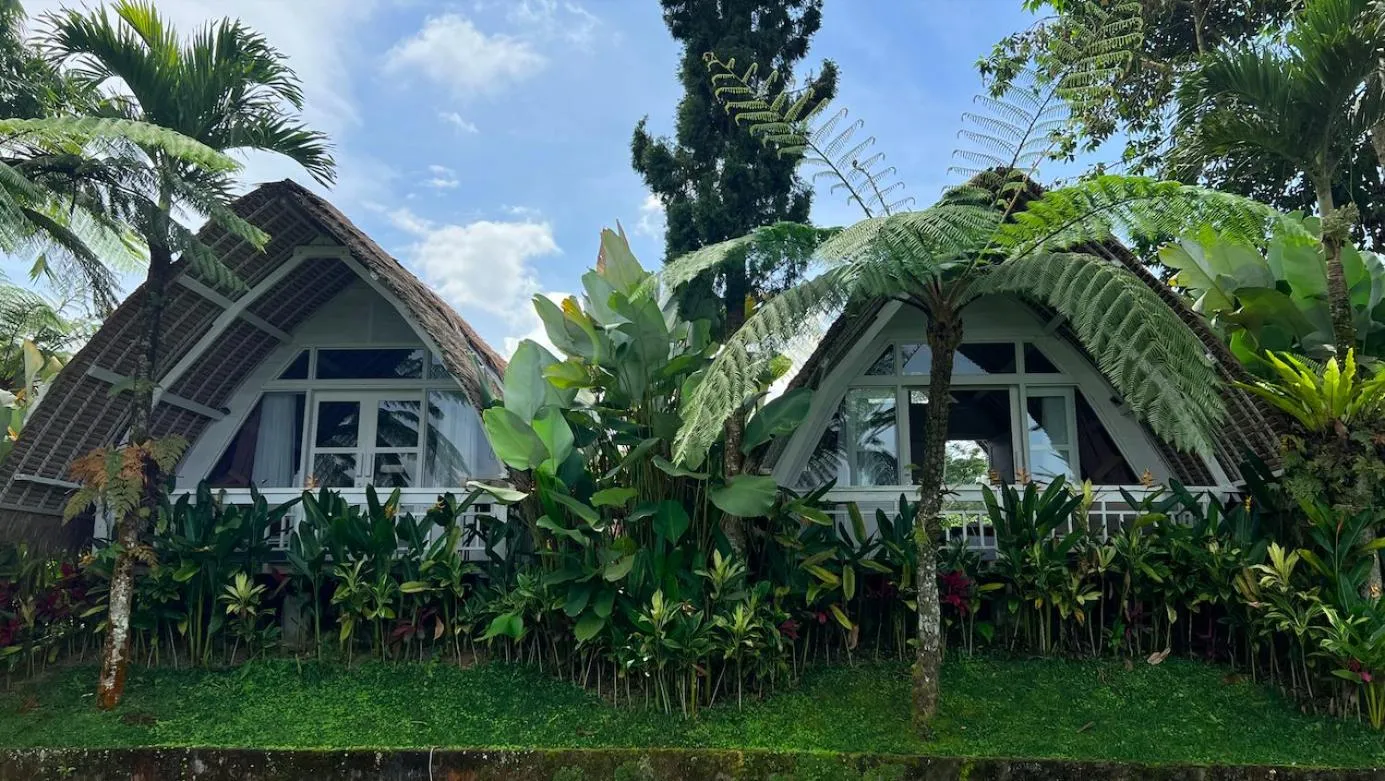 Village Above The Clouds