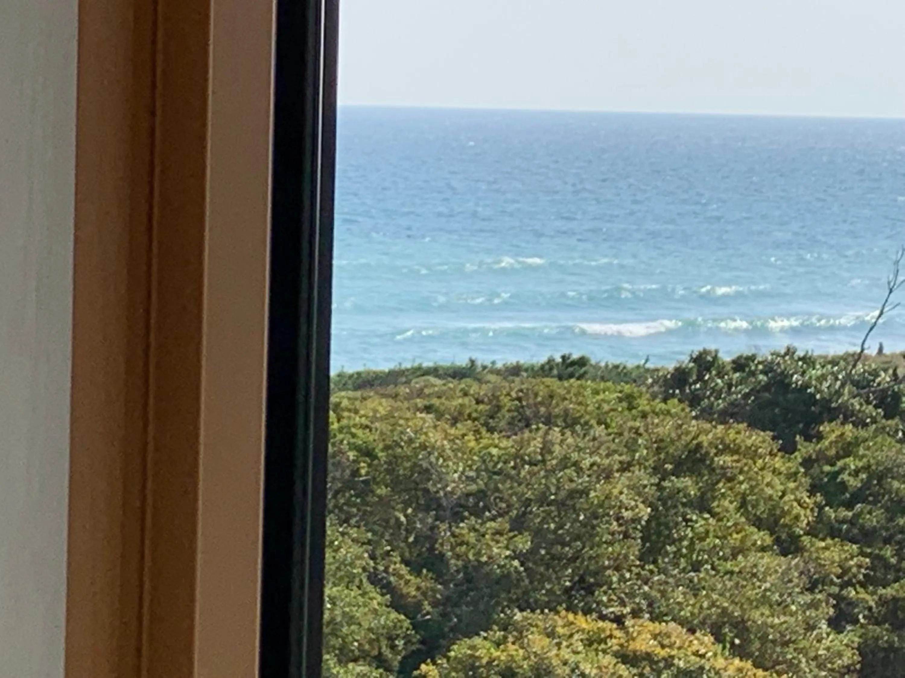 View (from property/room) in South Bird Inn