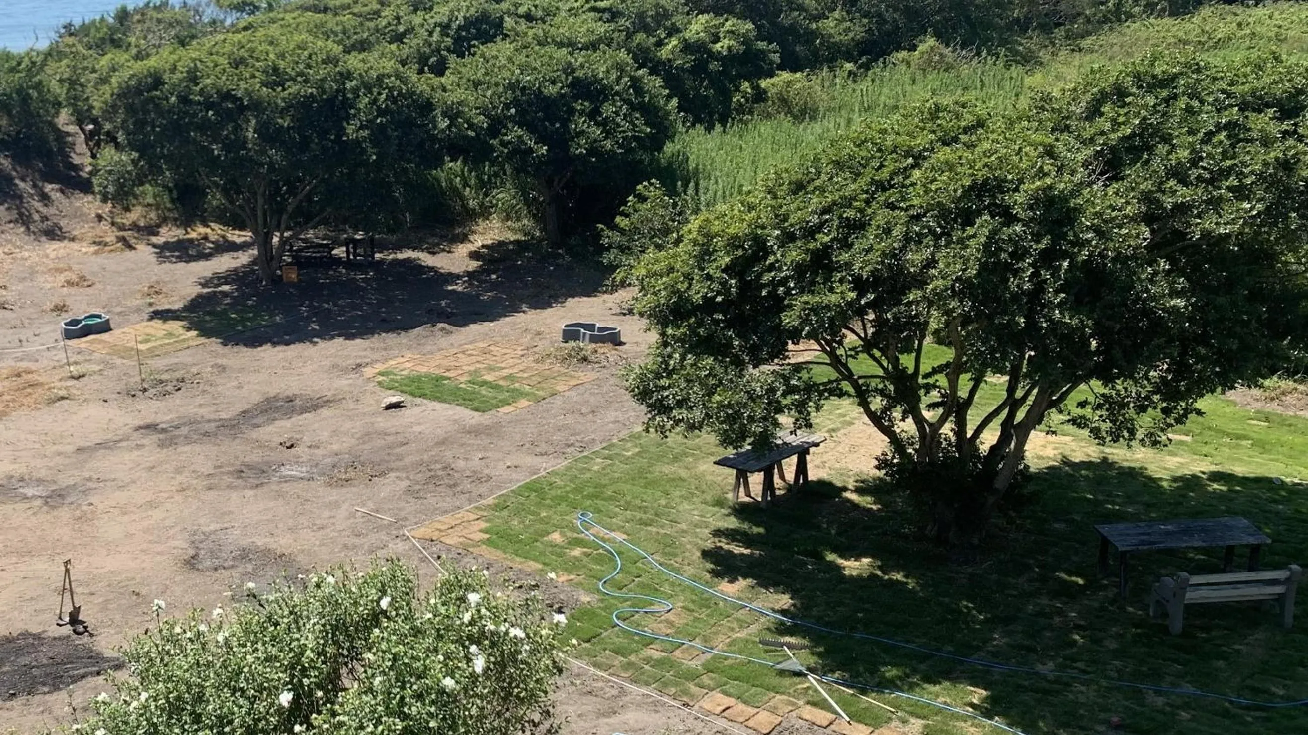 Garden view in South Bird Inn