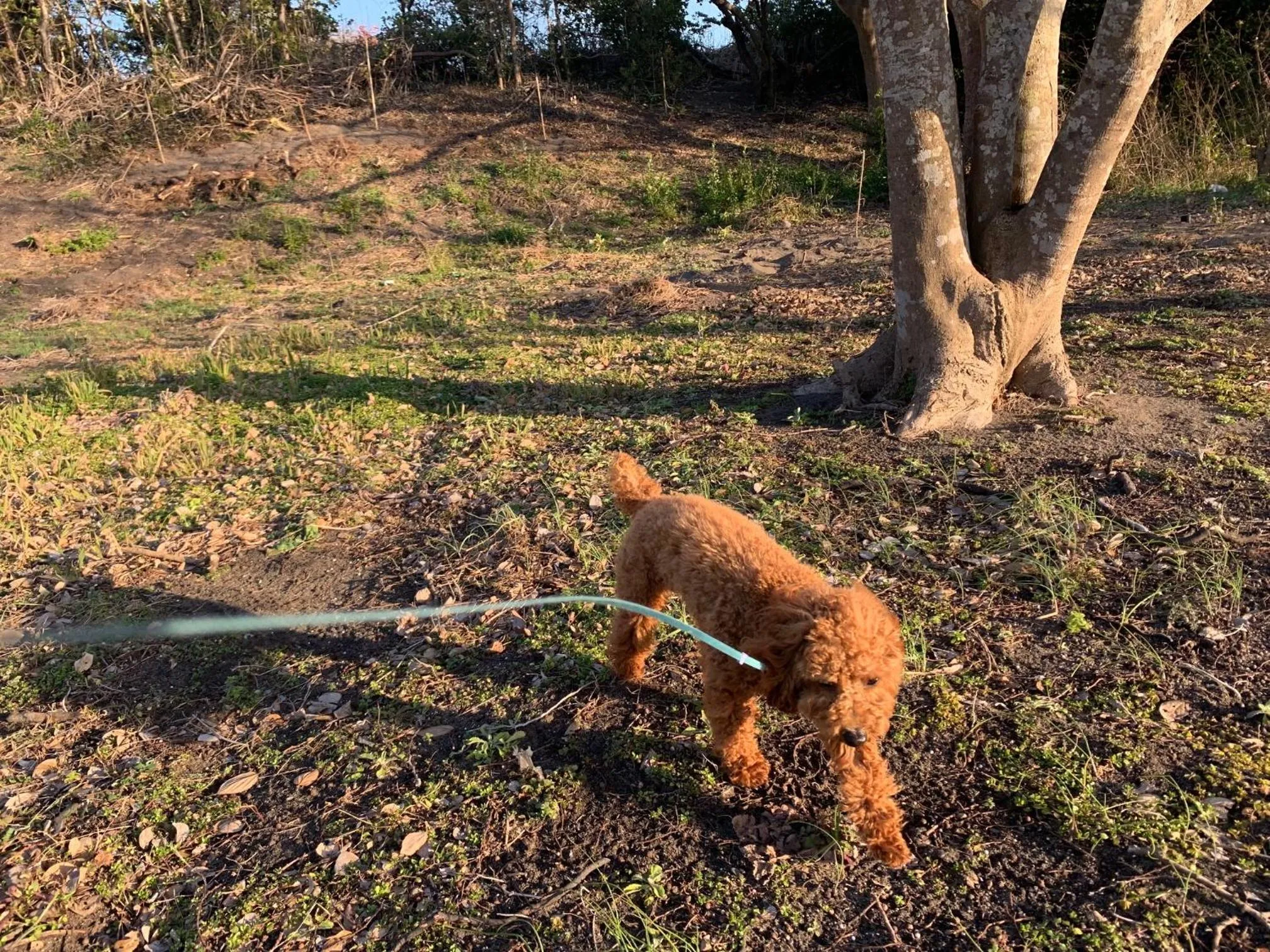 Natural landscape in South Bird Inn