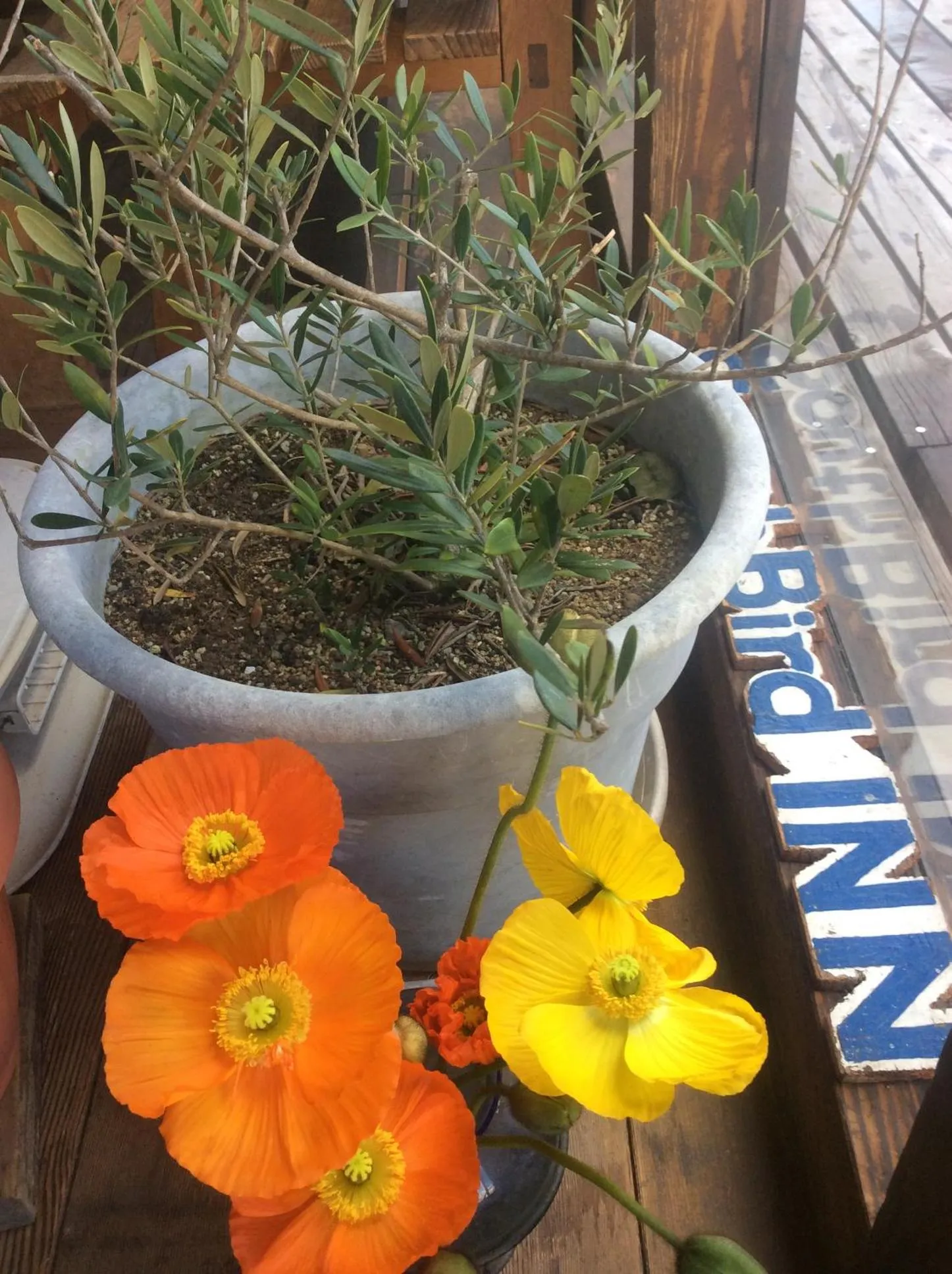 Other in South Bird Inn