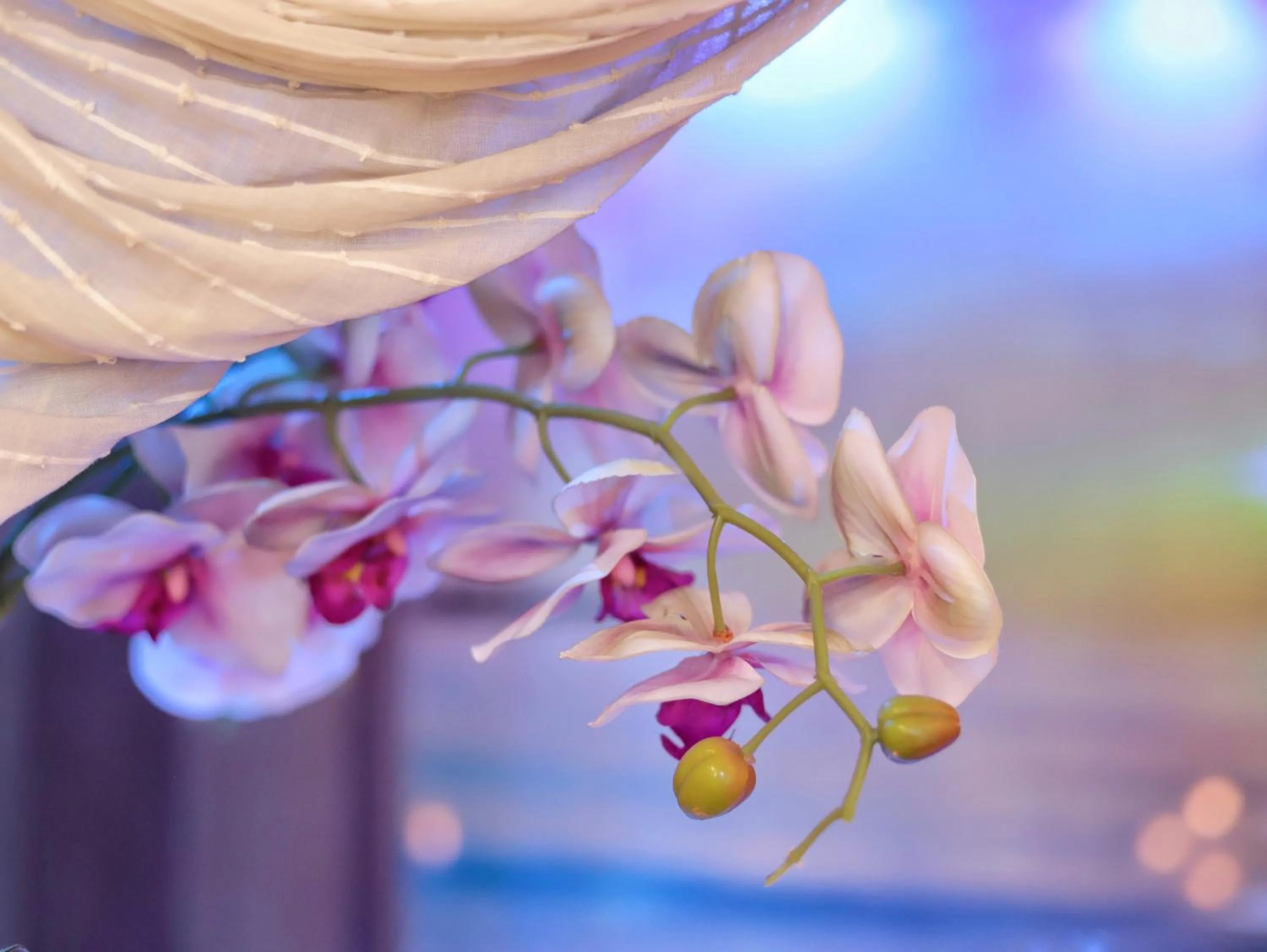 Decorative detail in Dream & Relax Villa Fiore