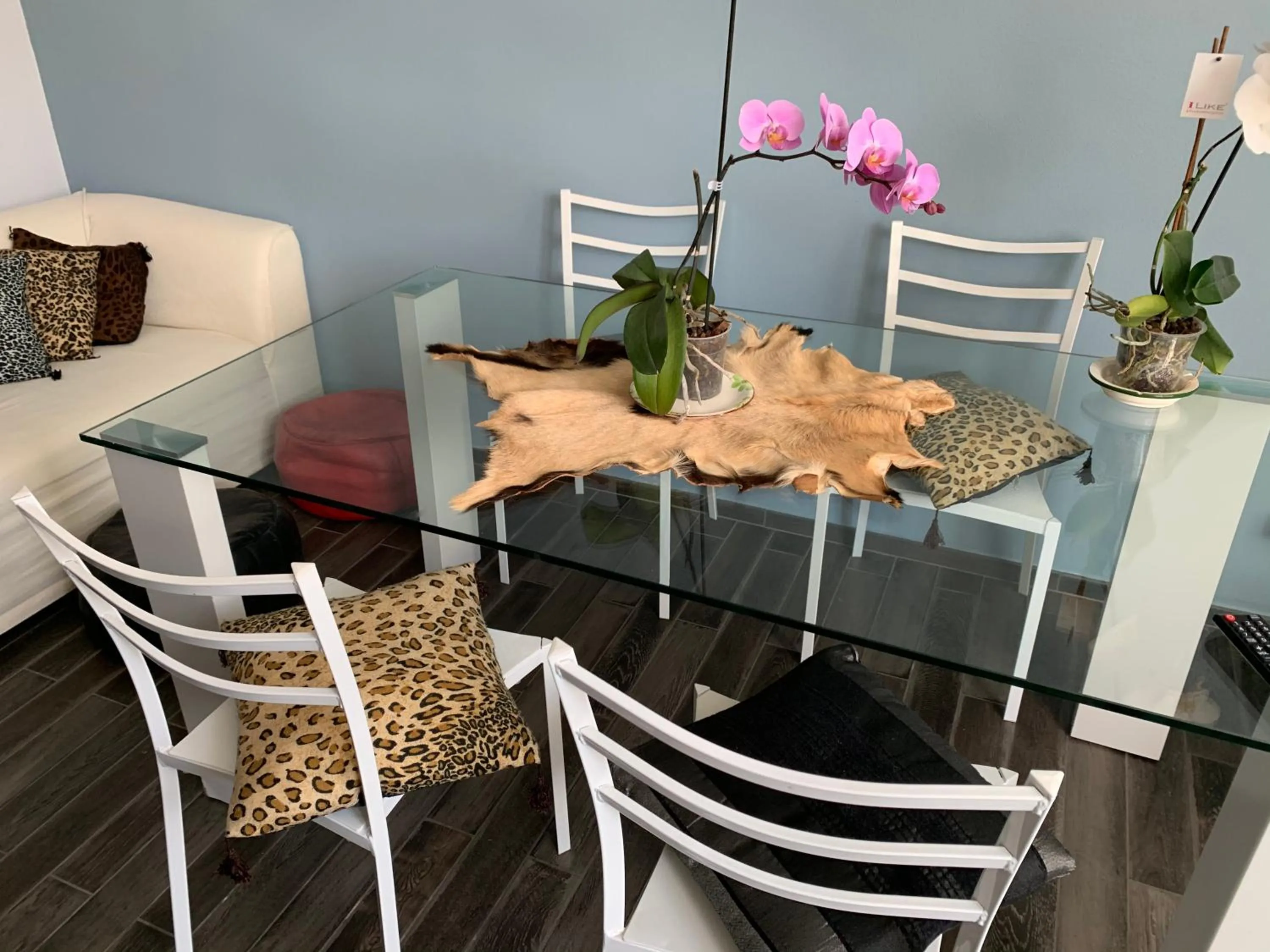 Alla corte dei Caretto