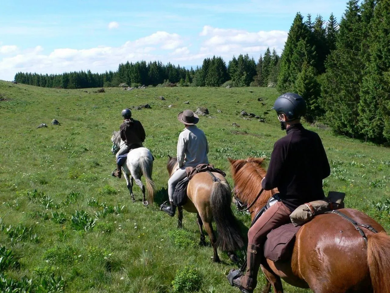 Horse-riding in Camping de Tauves