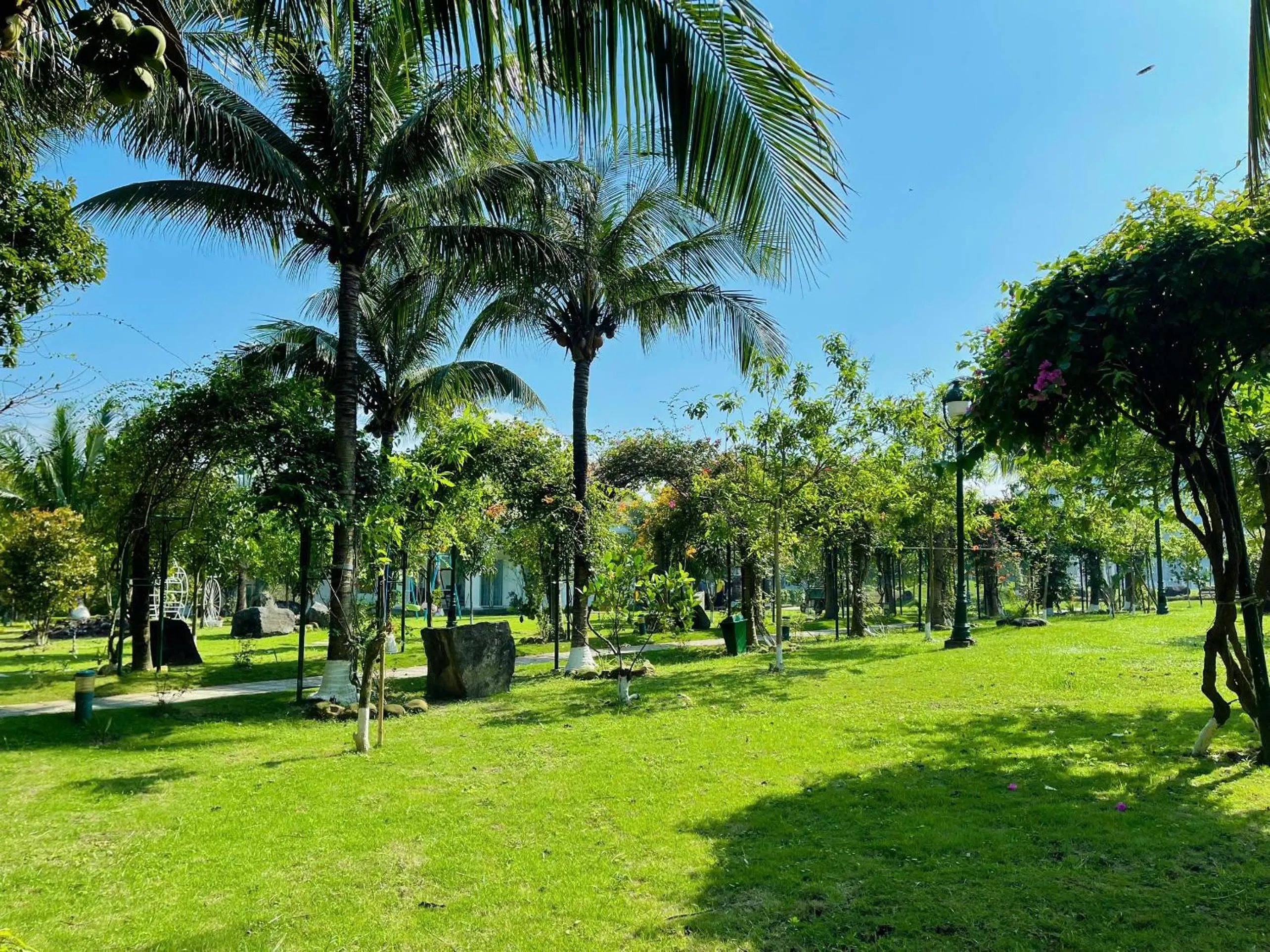Garden view in Gold Coast Hotel Resort & Spa
