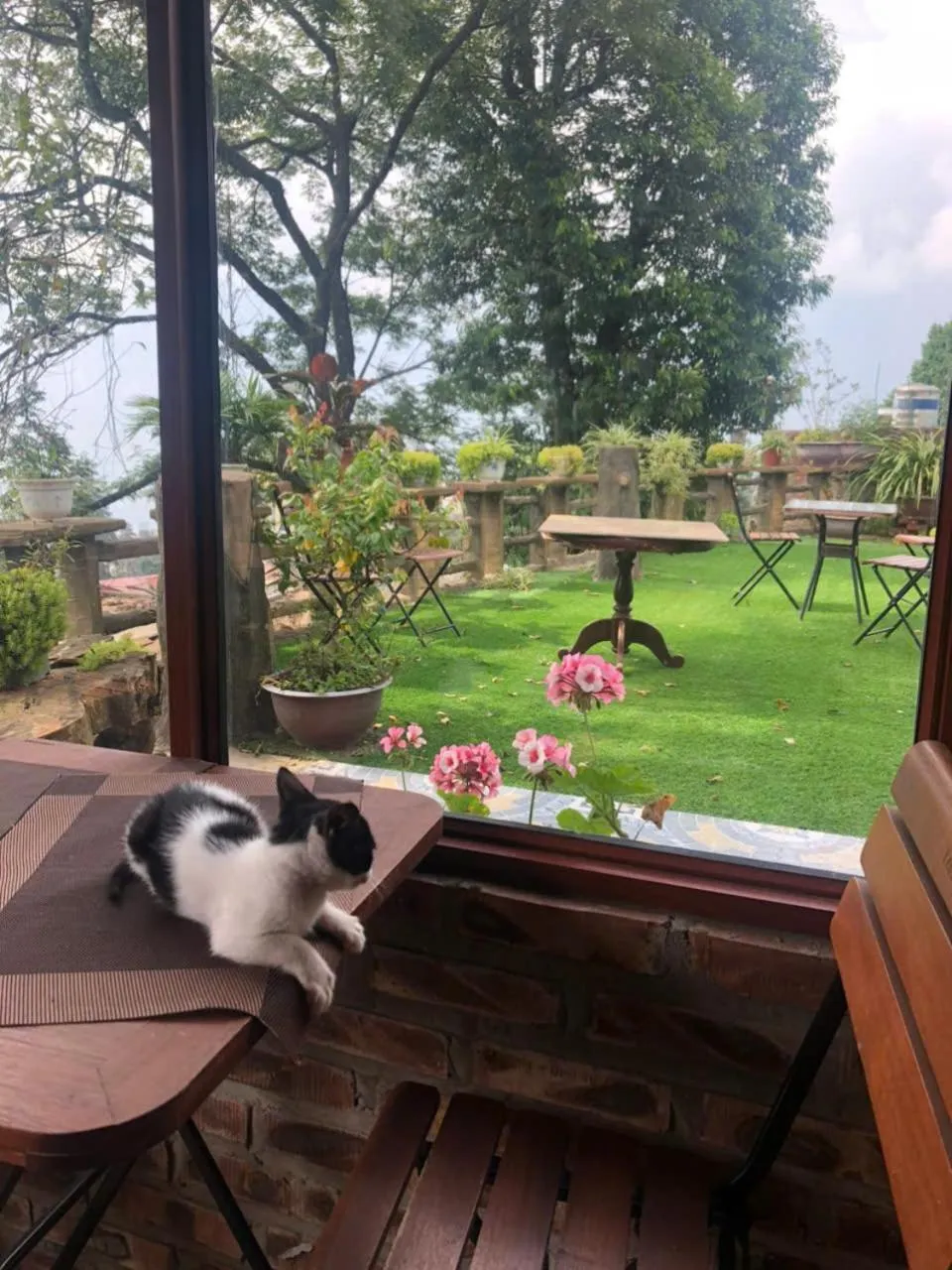 Restaurant/places to eat in Sapa Hidden Gem Hotel & Spa