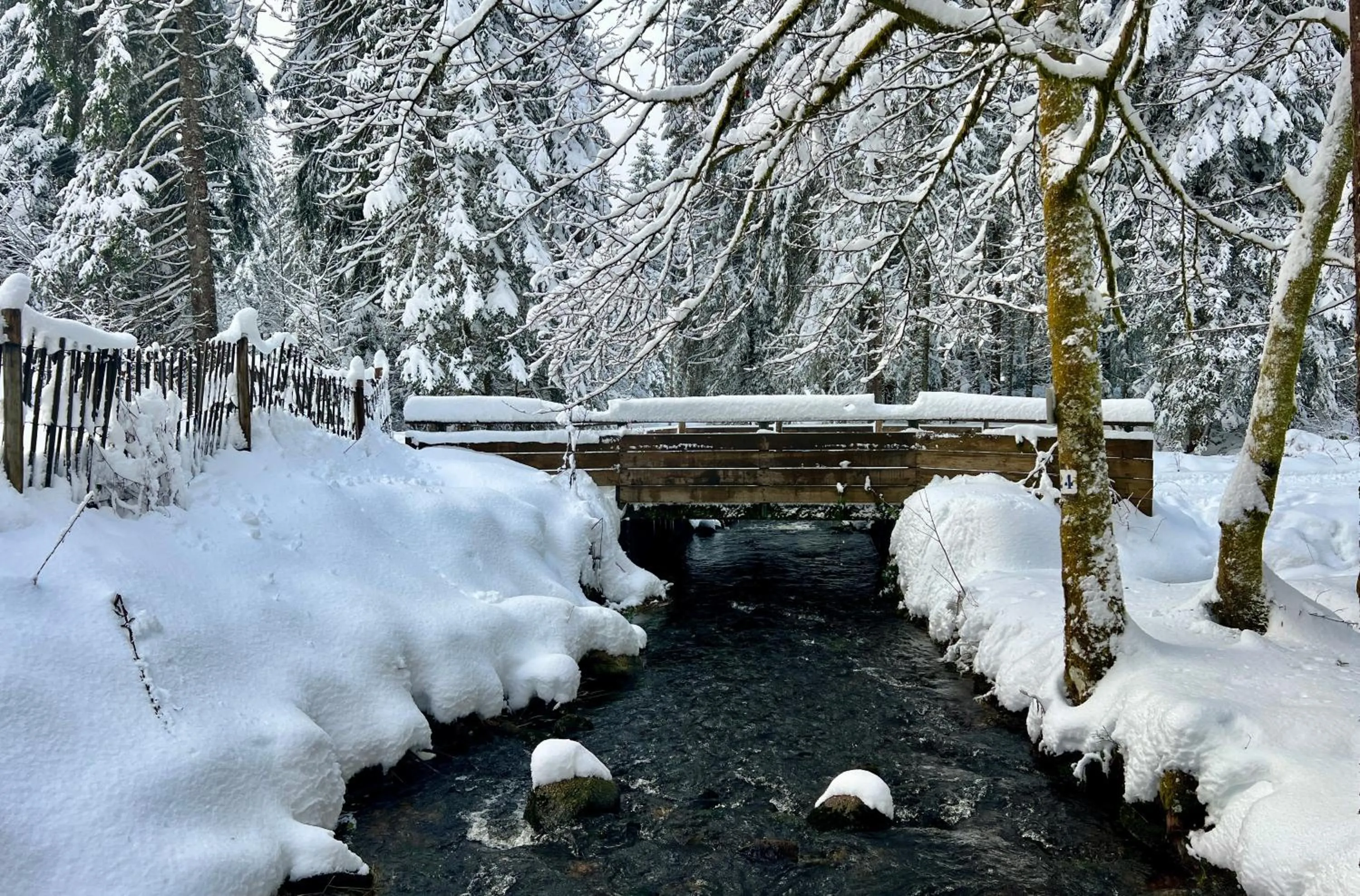 LOGIS HÔTEL, CHALETS et RESTAURANT LES CHATELMINÉS