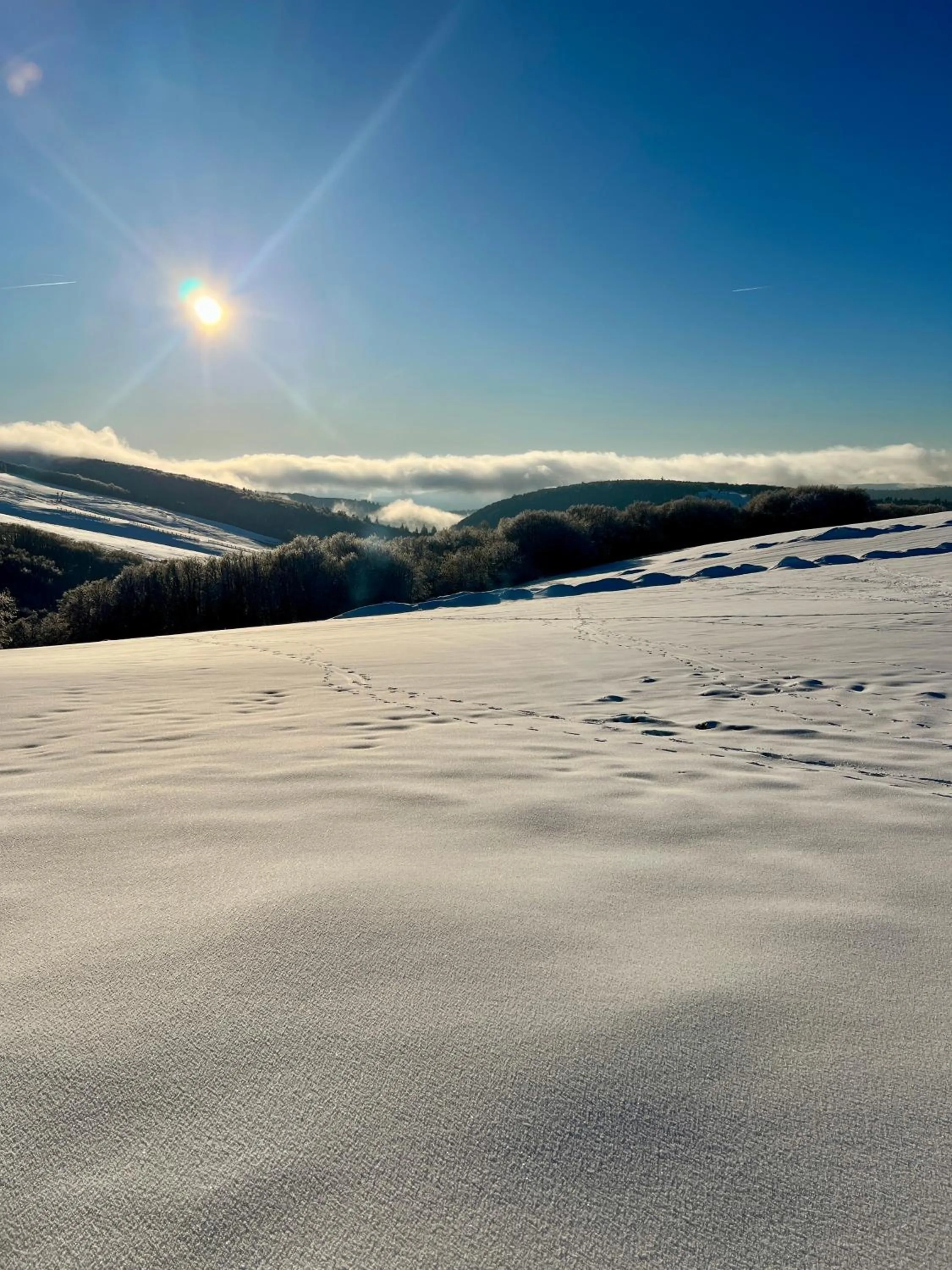 LOGIS HÔTEL, CHALETS et RESTAURANT LES CHATELMINÉS
