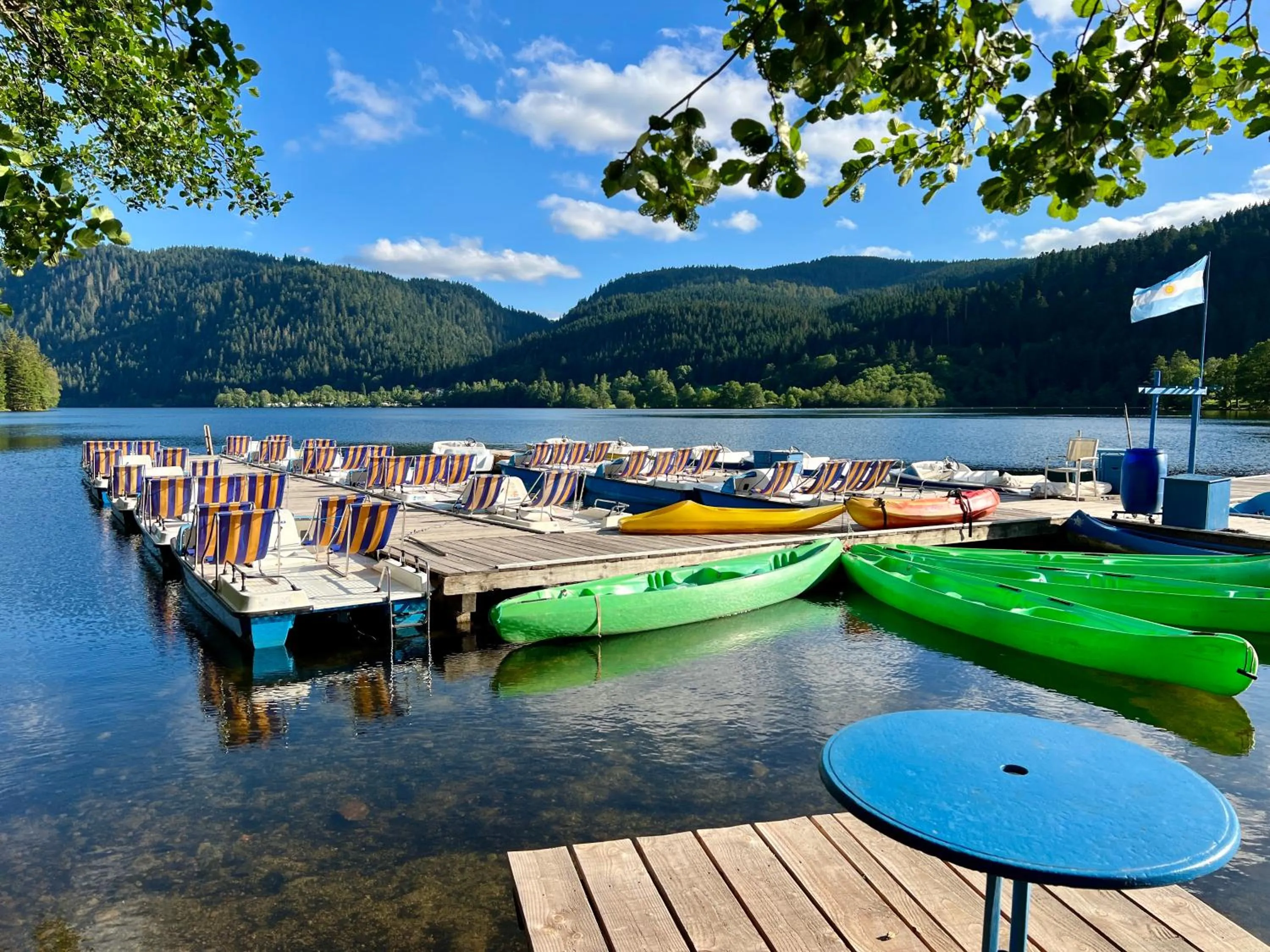 LOGIS HÔTEL, CHALETS et RESTAURANT LES CHATELMINÉS