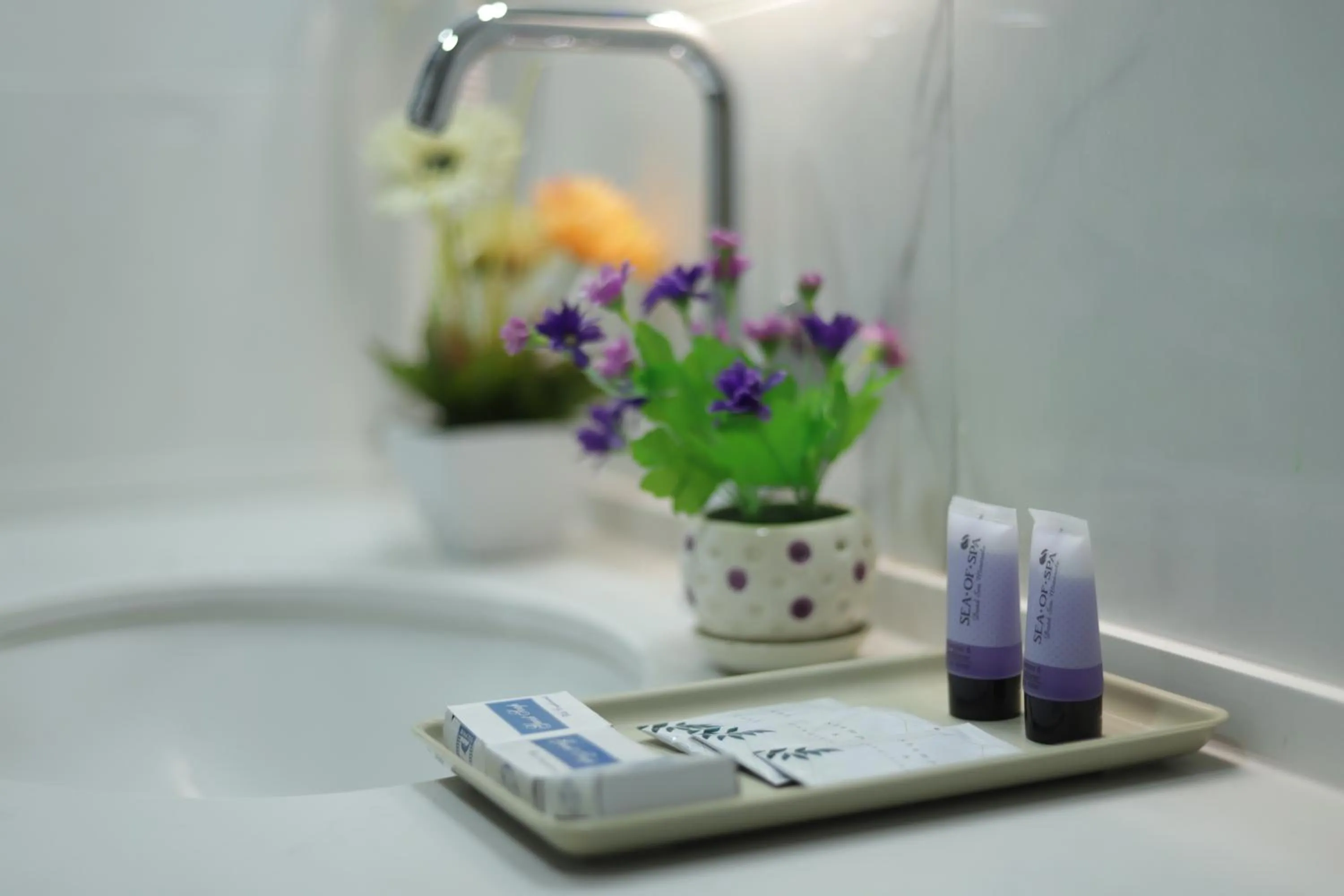 Shower in Mount of Olives Hotel