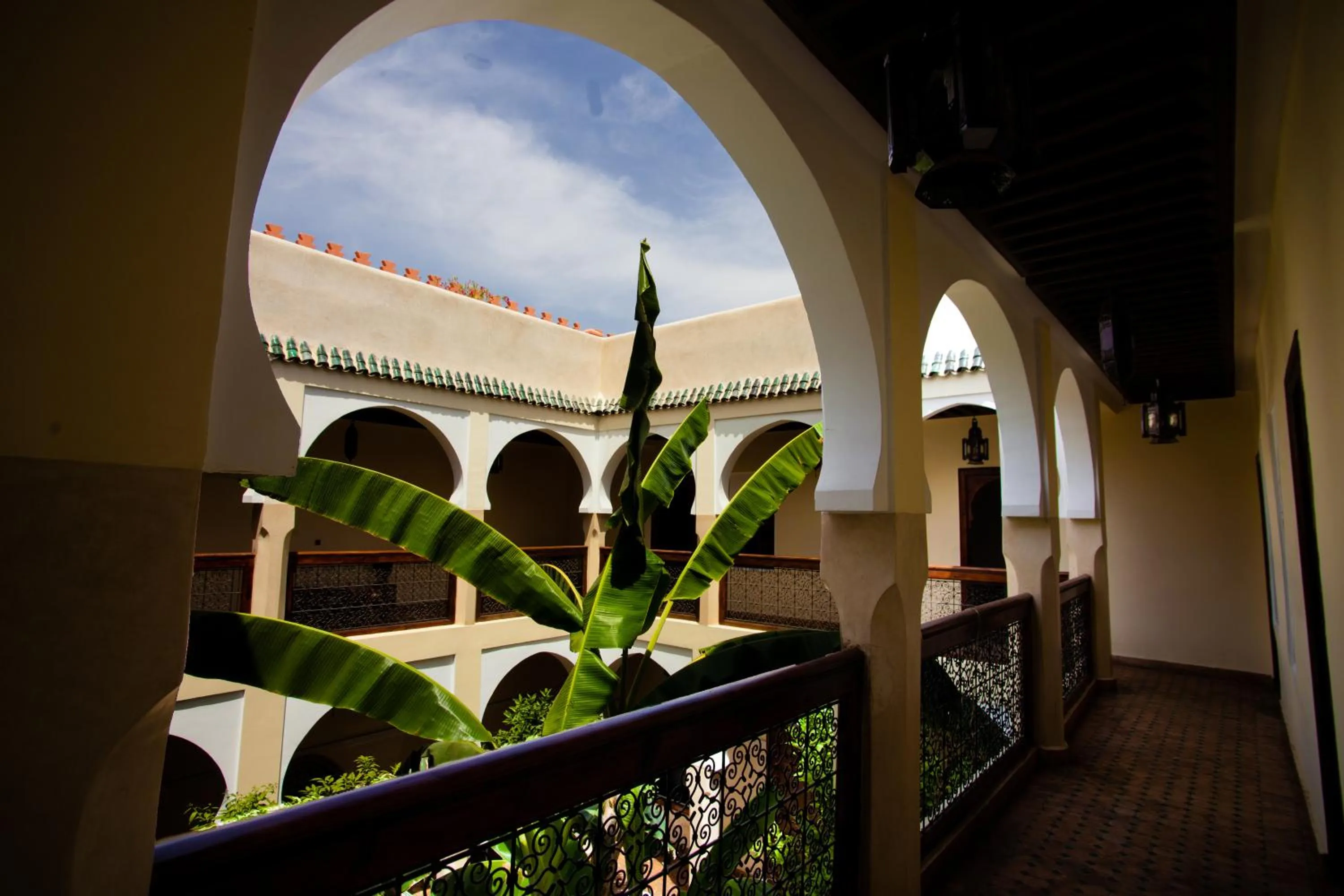 Riad Tidar by Phoenix