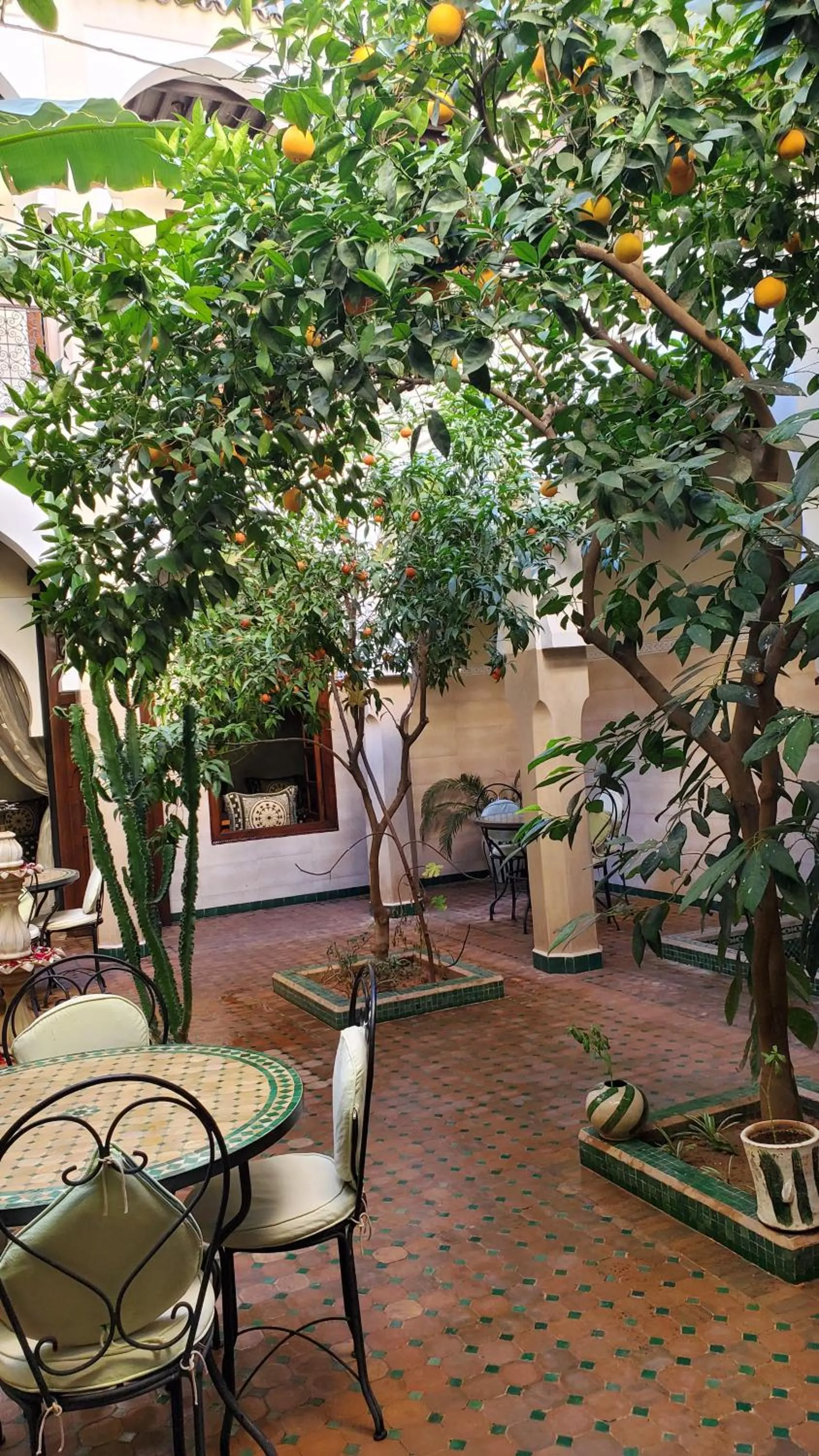 Riad Tidar by Phoenix