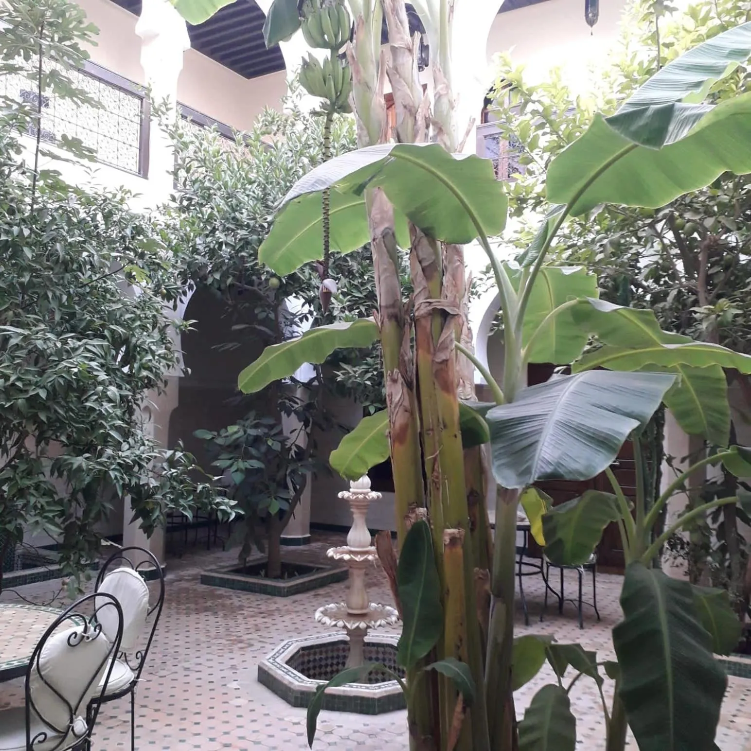 Riad Tidar by Phoenix