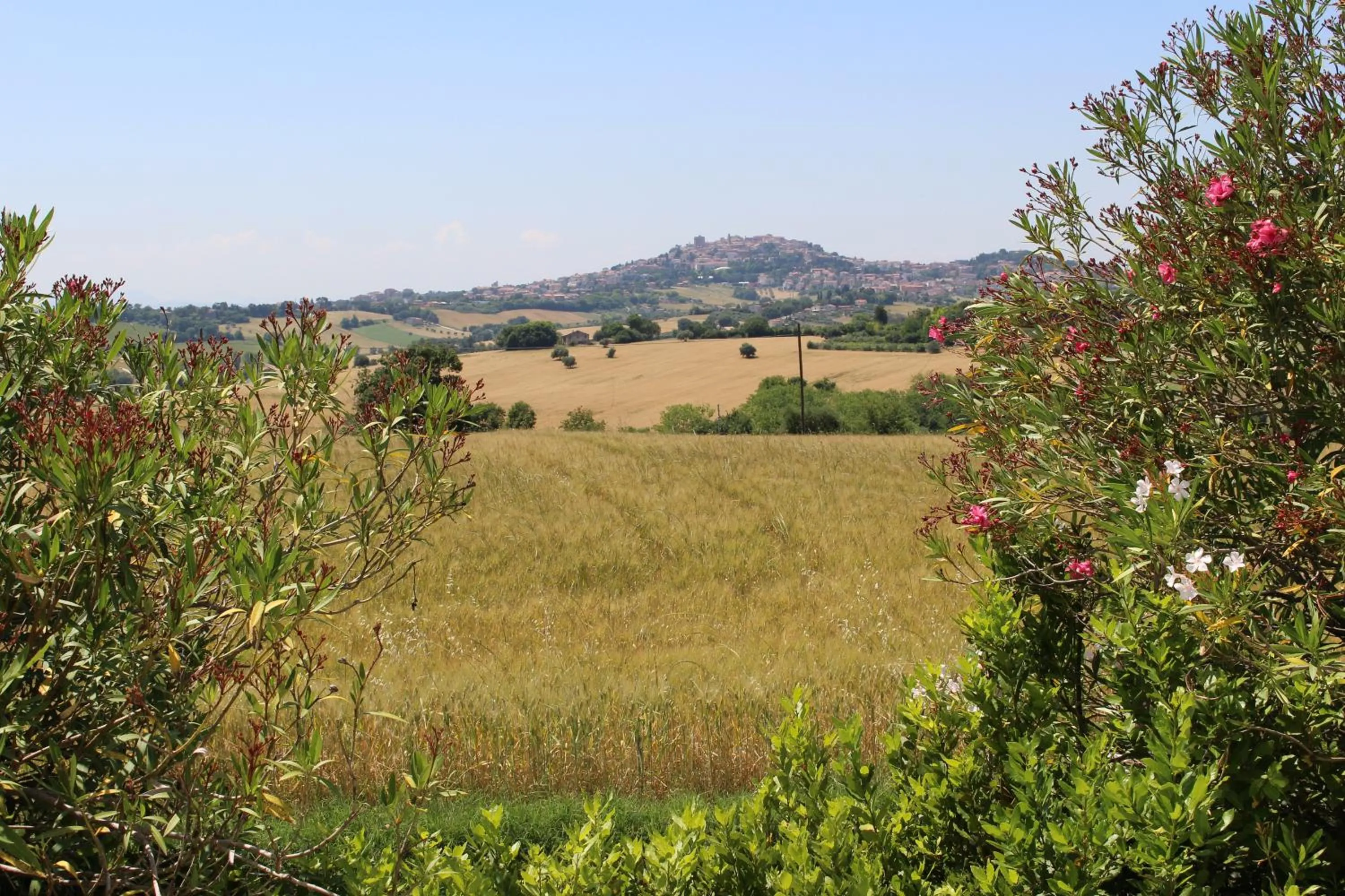 Natural landscape in Villa Belvedere Degli Ulivi