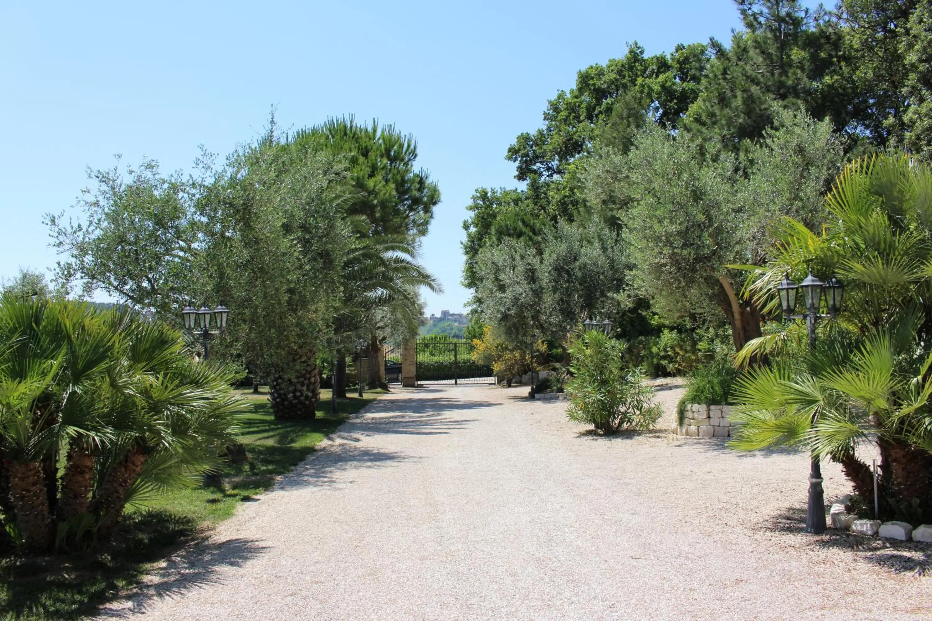 Day in Villa Belvedere Degli Ulivi