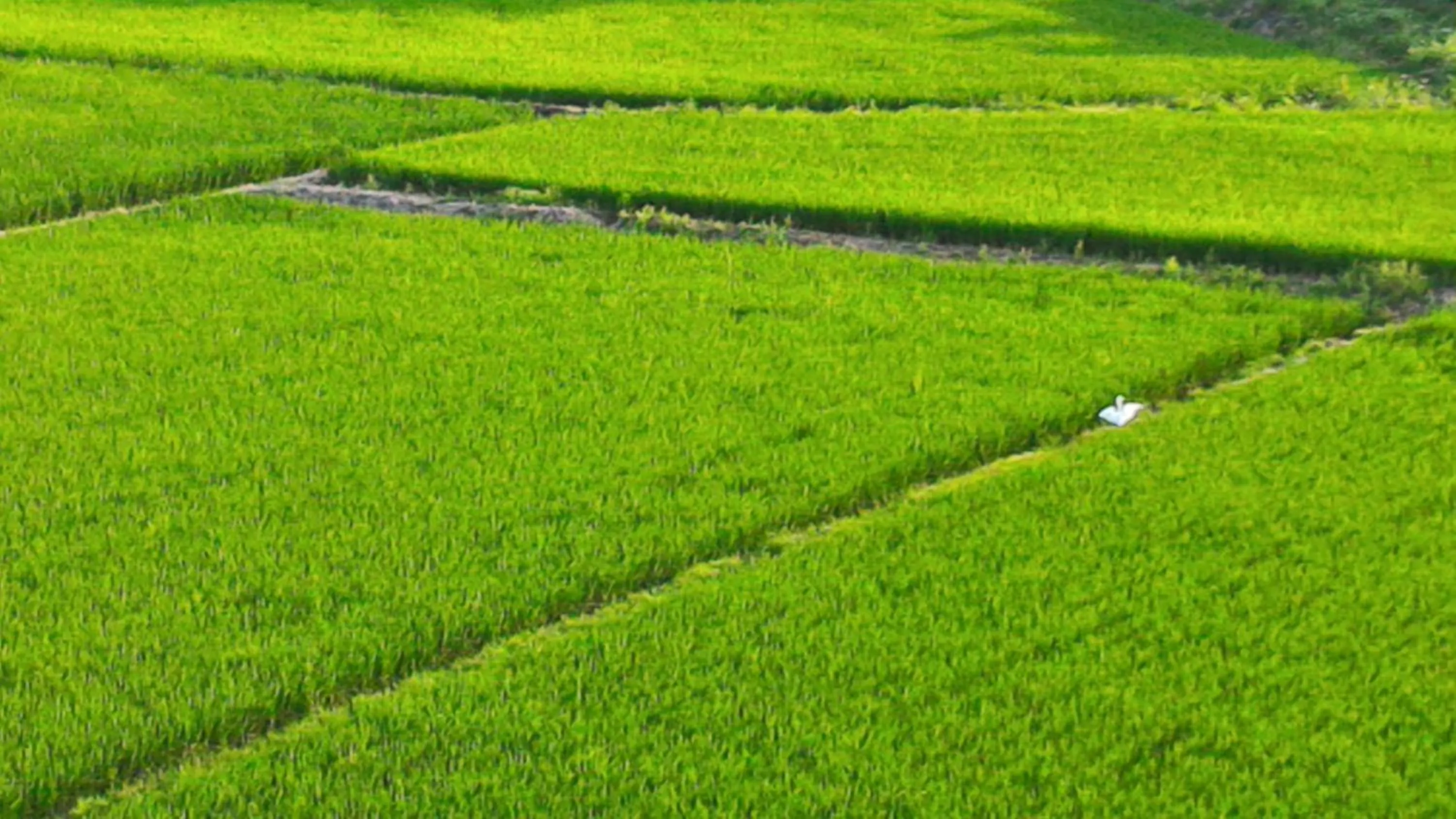 Landmark view in Taitung Travel Hostel