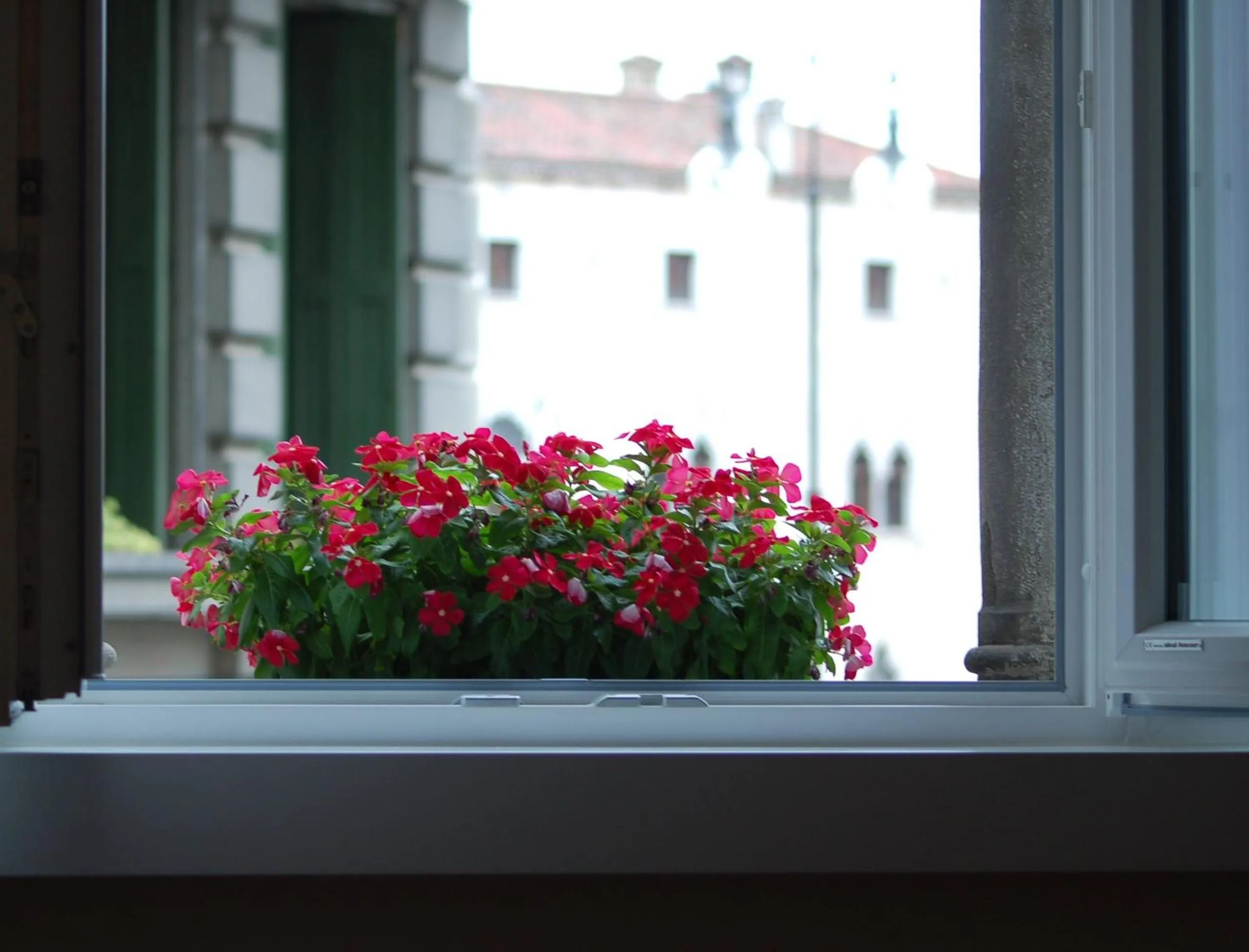 View (from property/room) in Astoria Hotel Italia