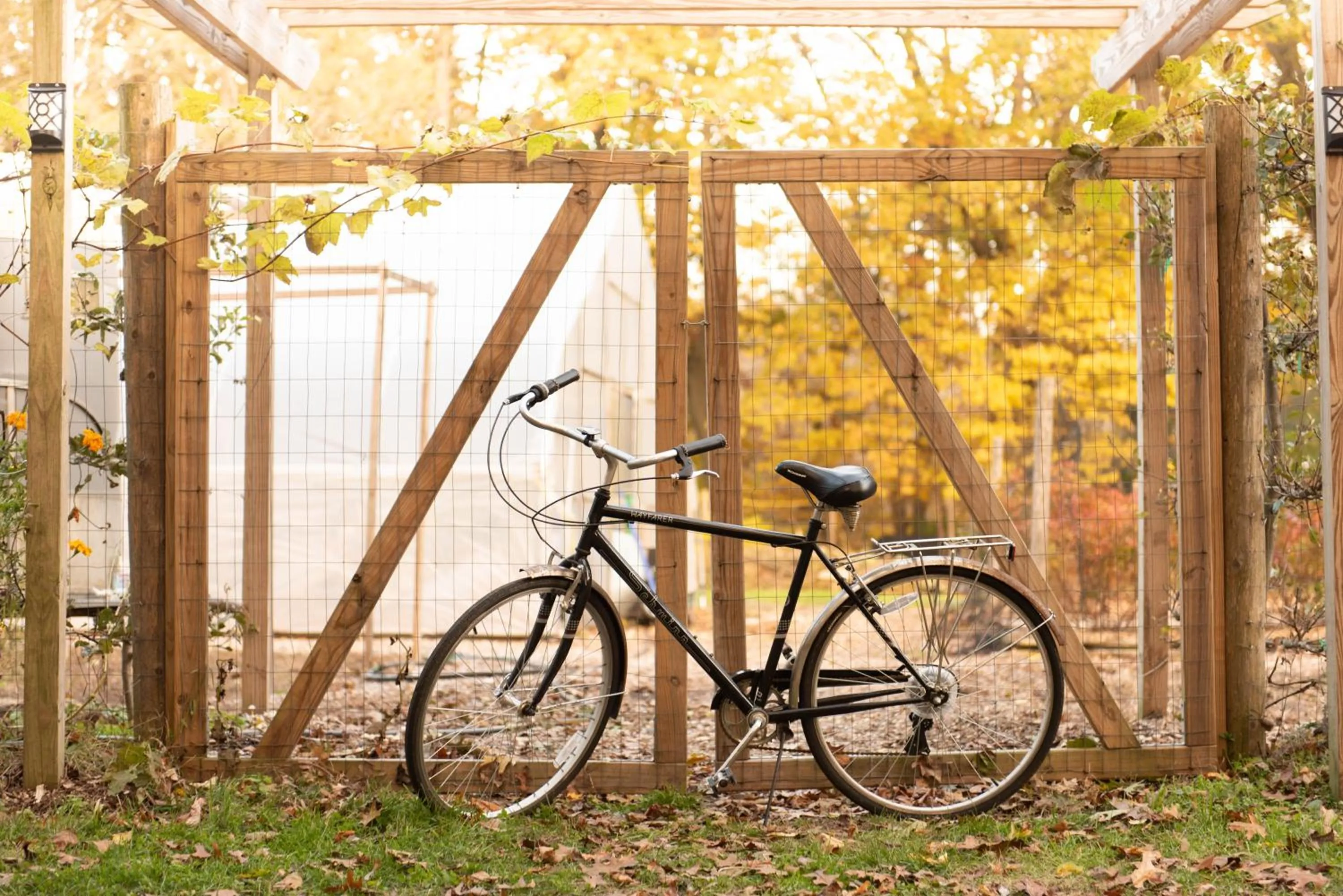 Goldberry Woods- A Modern Farm Resort