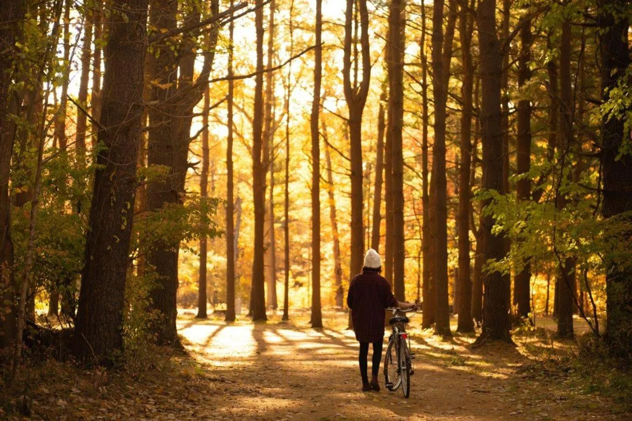 Goldberry Woods- A Modern Farm Resort