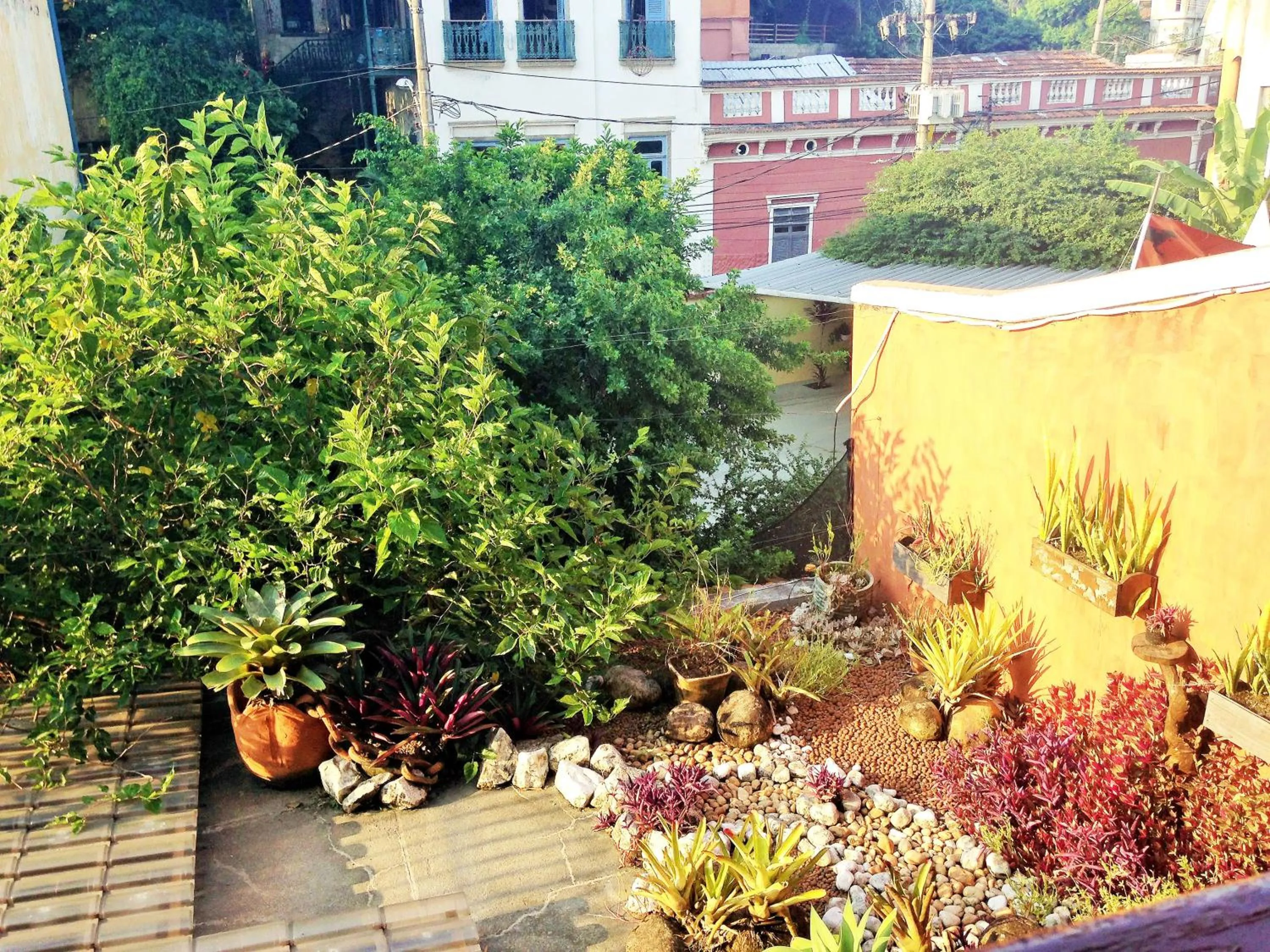 Garden view in Rio Antigo