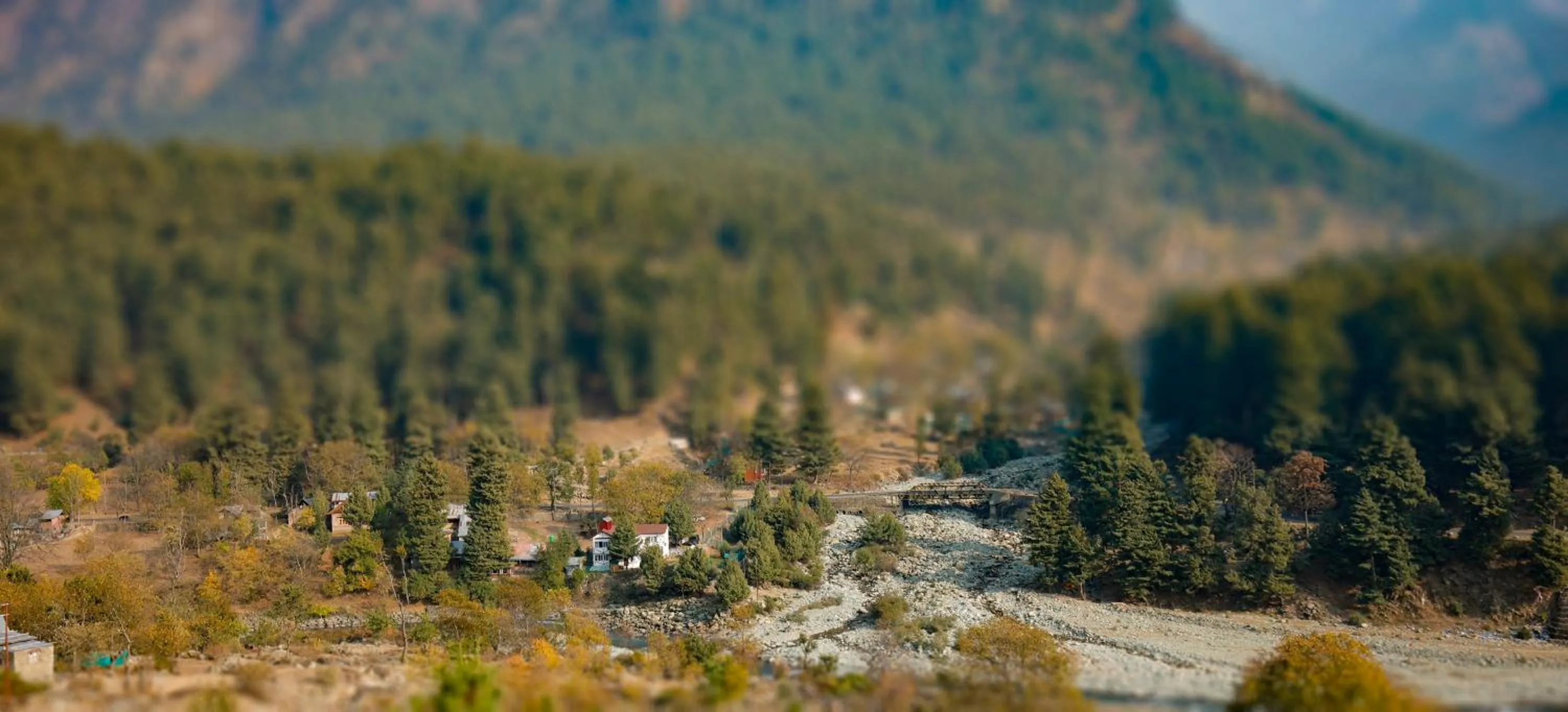 Walisons Peace Resort