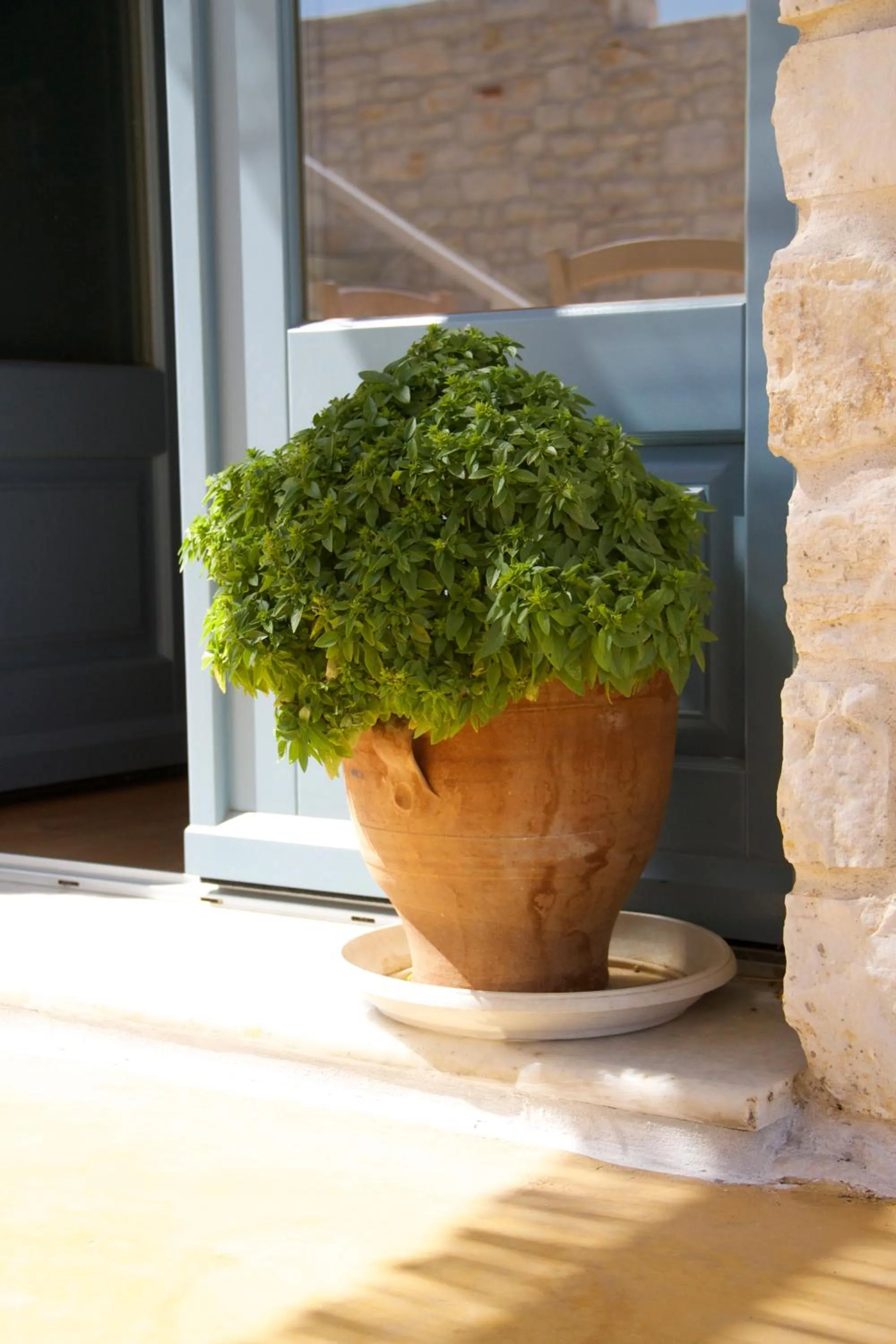 Decorative detail in Nomads House