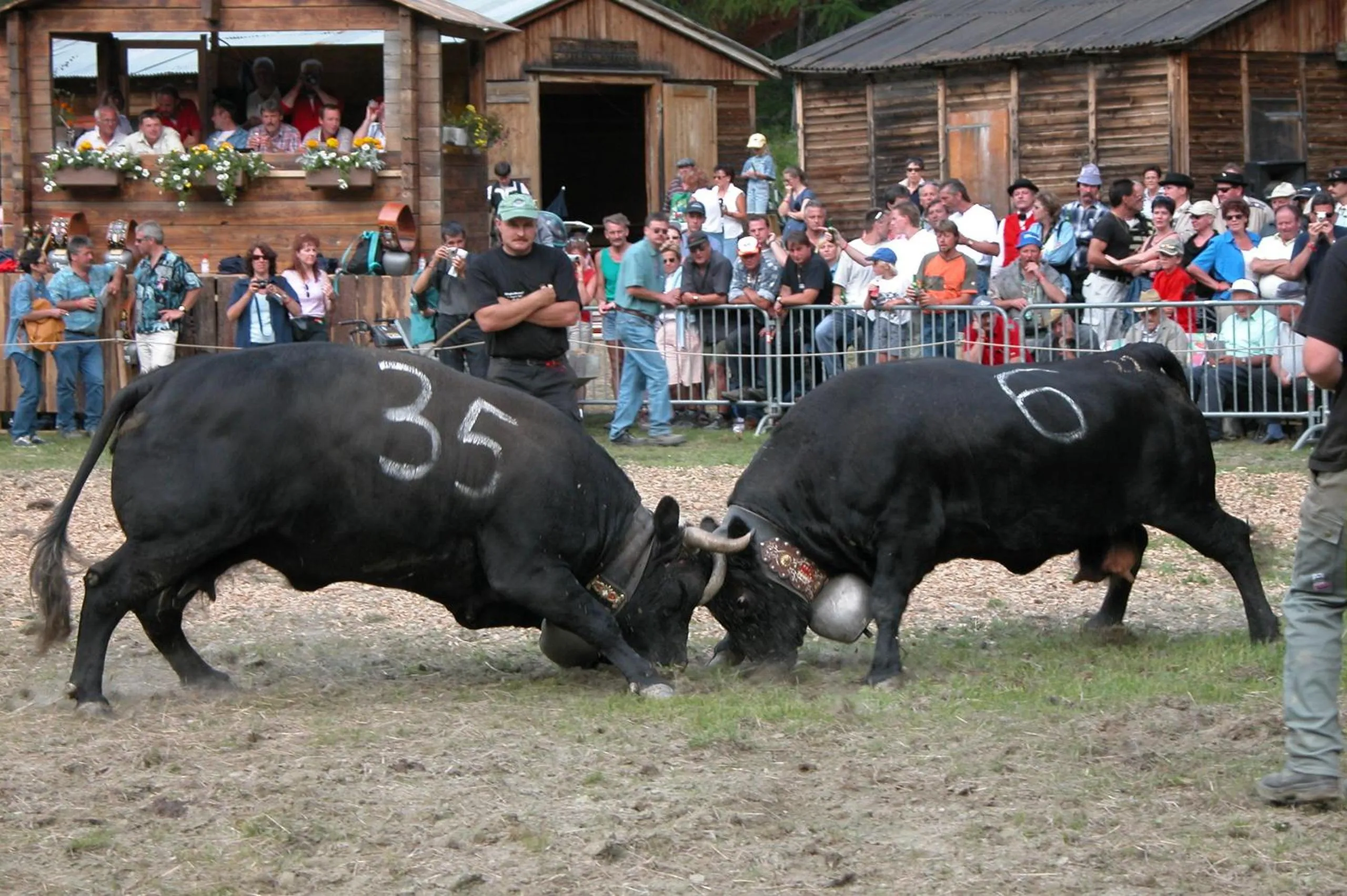 Other in Hotel Adler