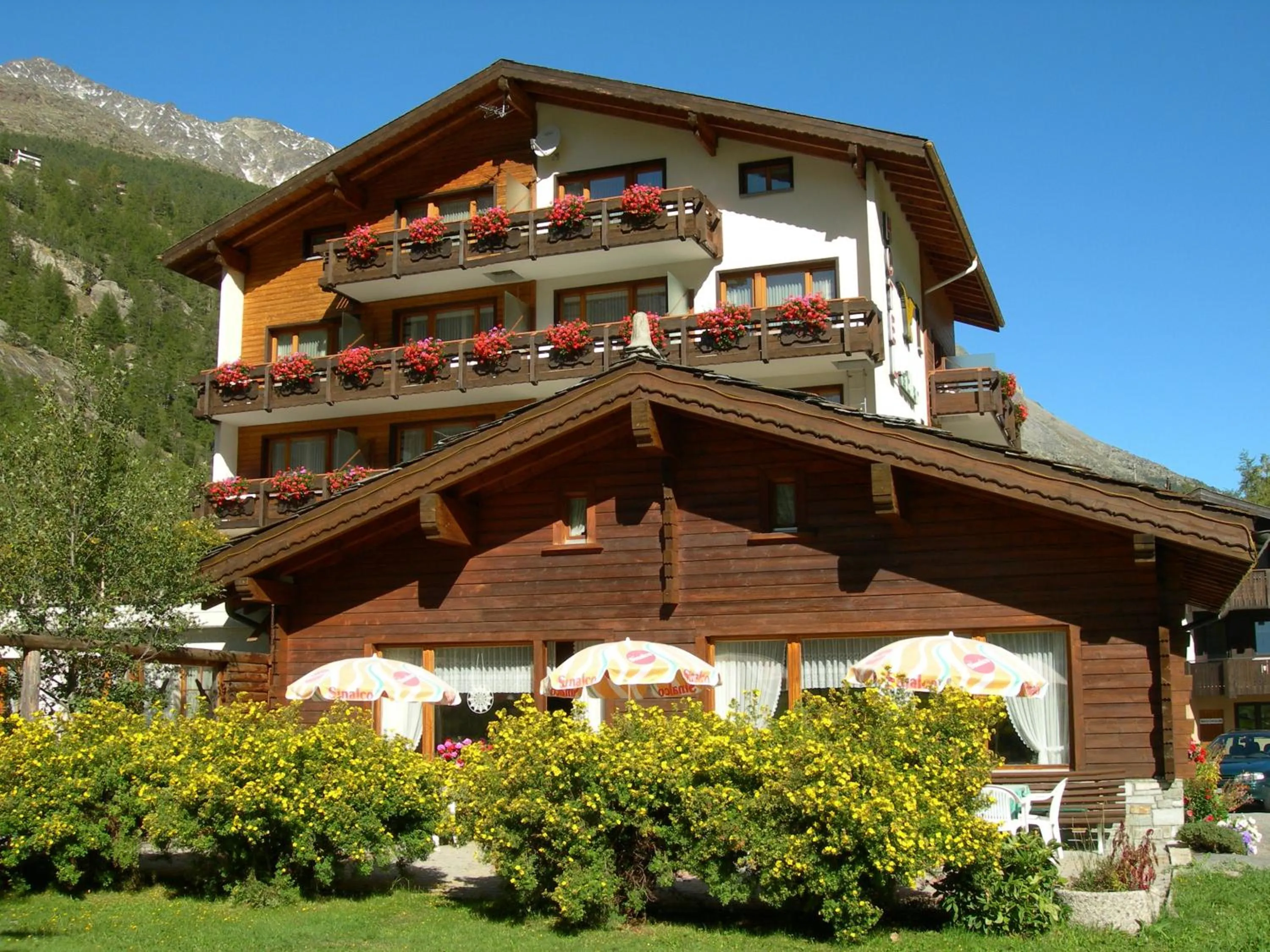 Facade/entrance in Hotel Adler