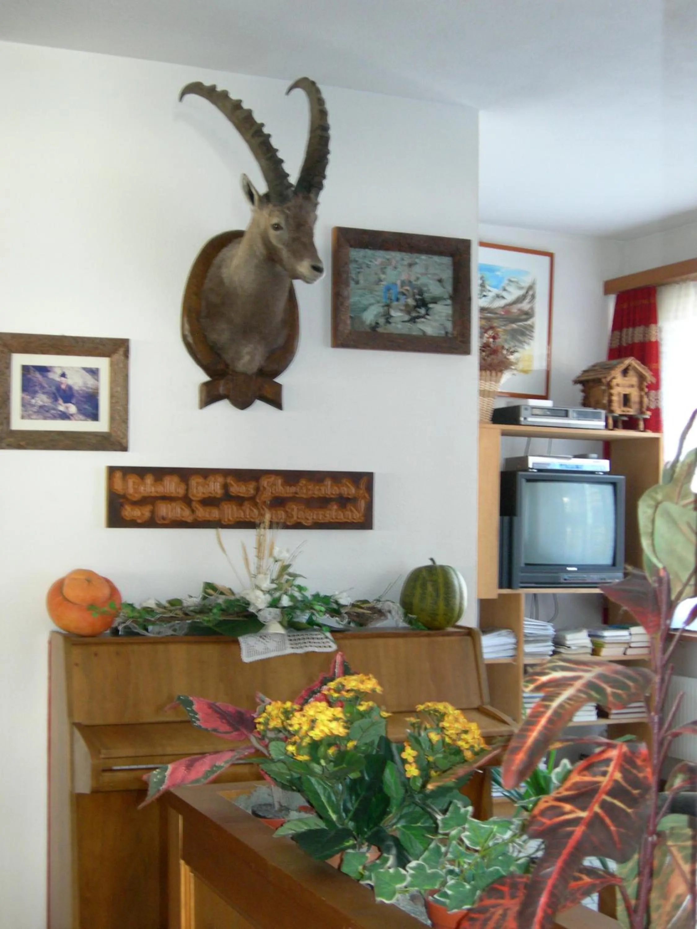 TV and multimedia in Hotel Adler