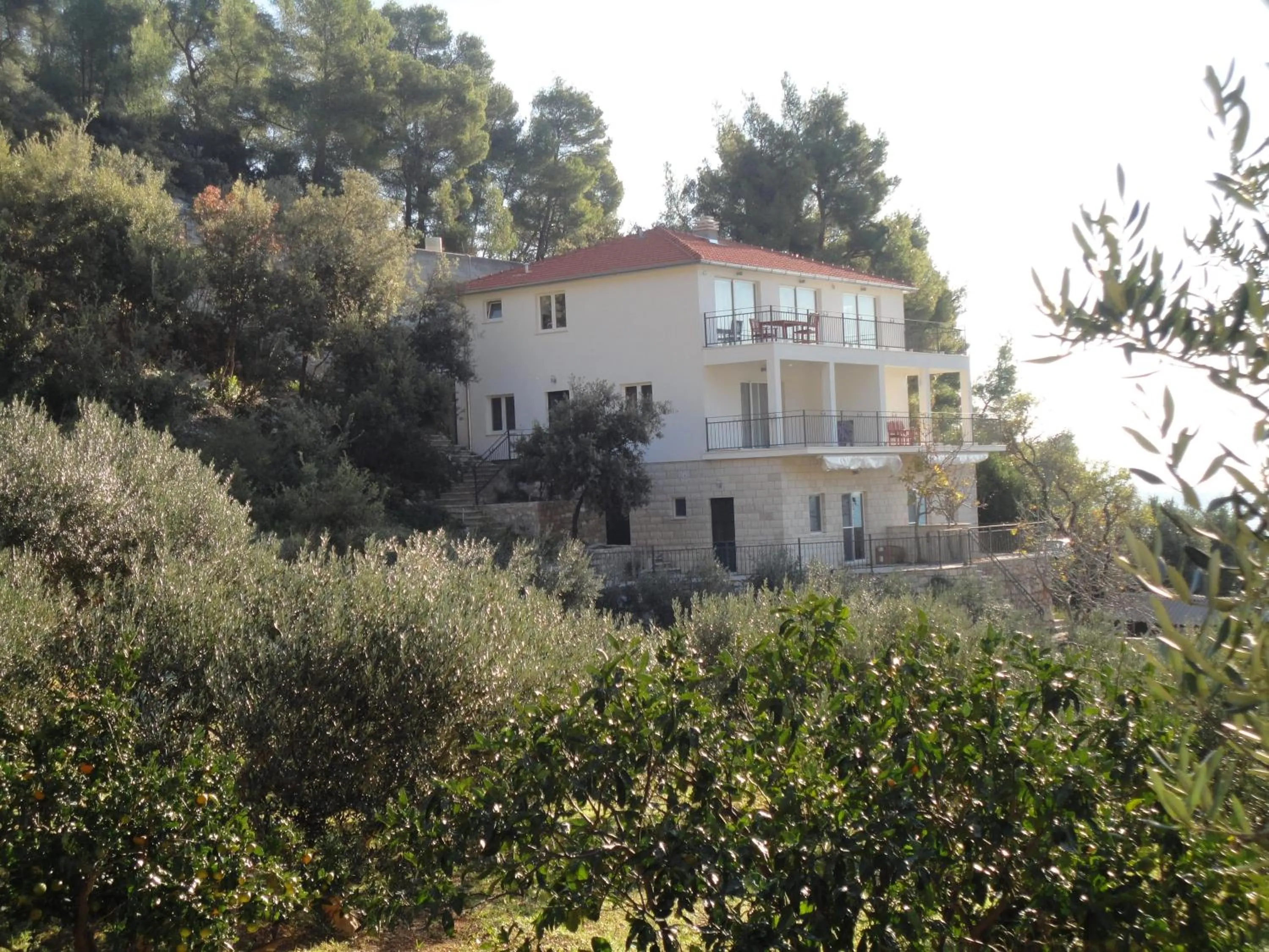 Natural landscape in Paradise Apartments - Robinson getaway