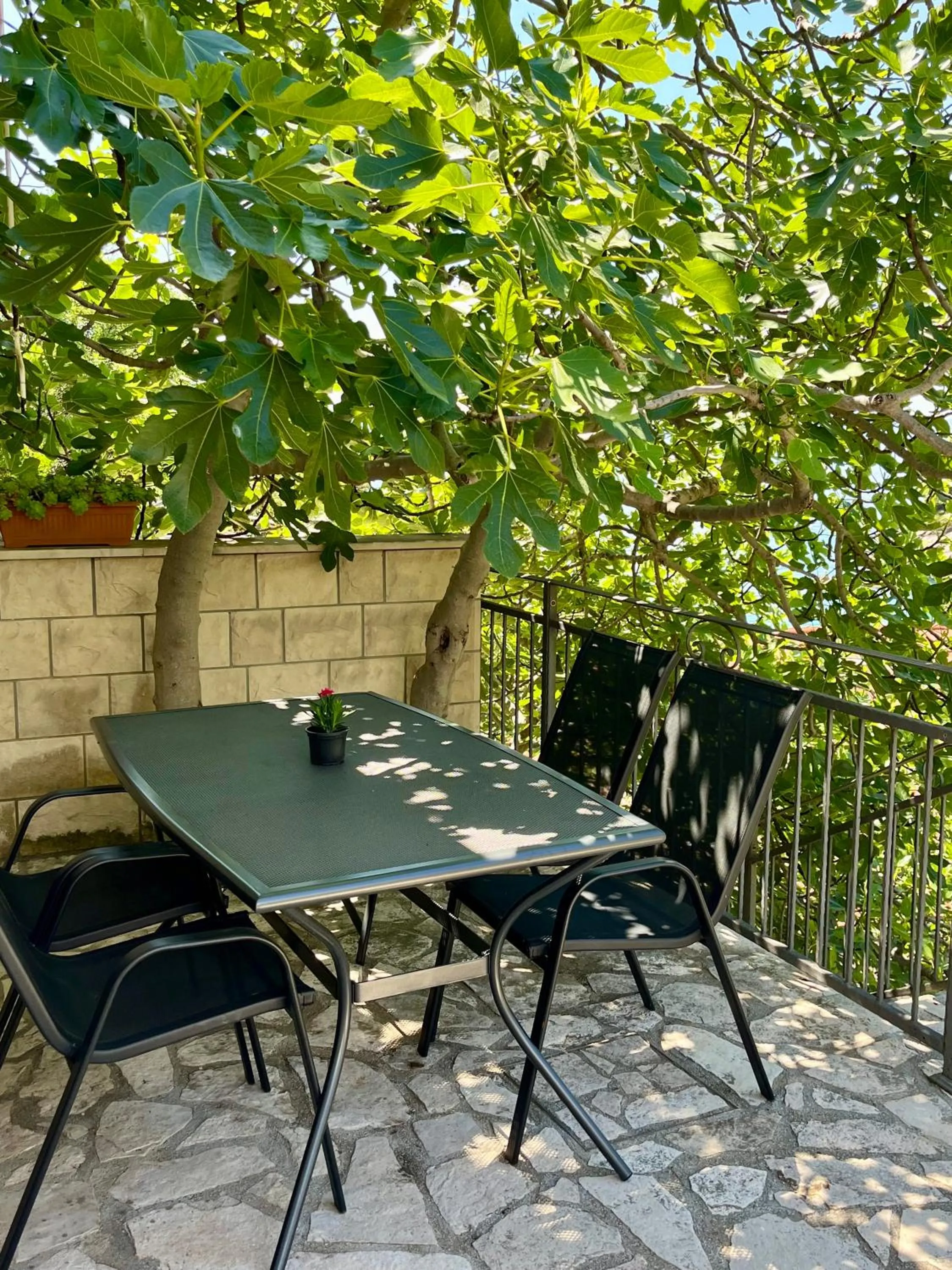 Paradise Apartments - Robinson getaway