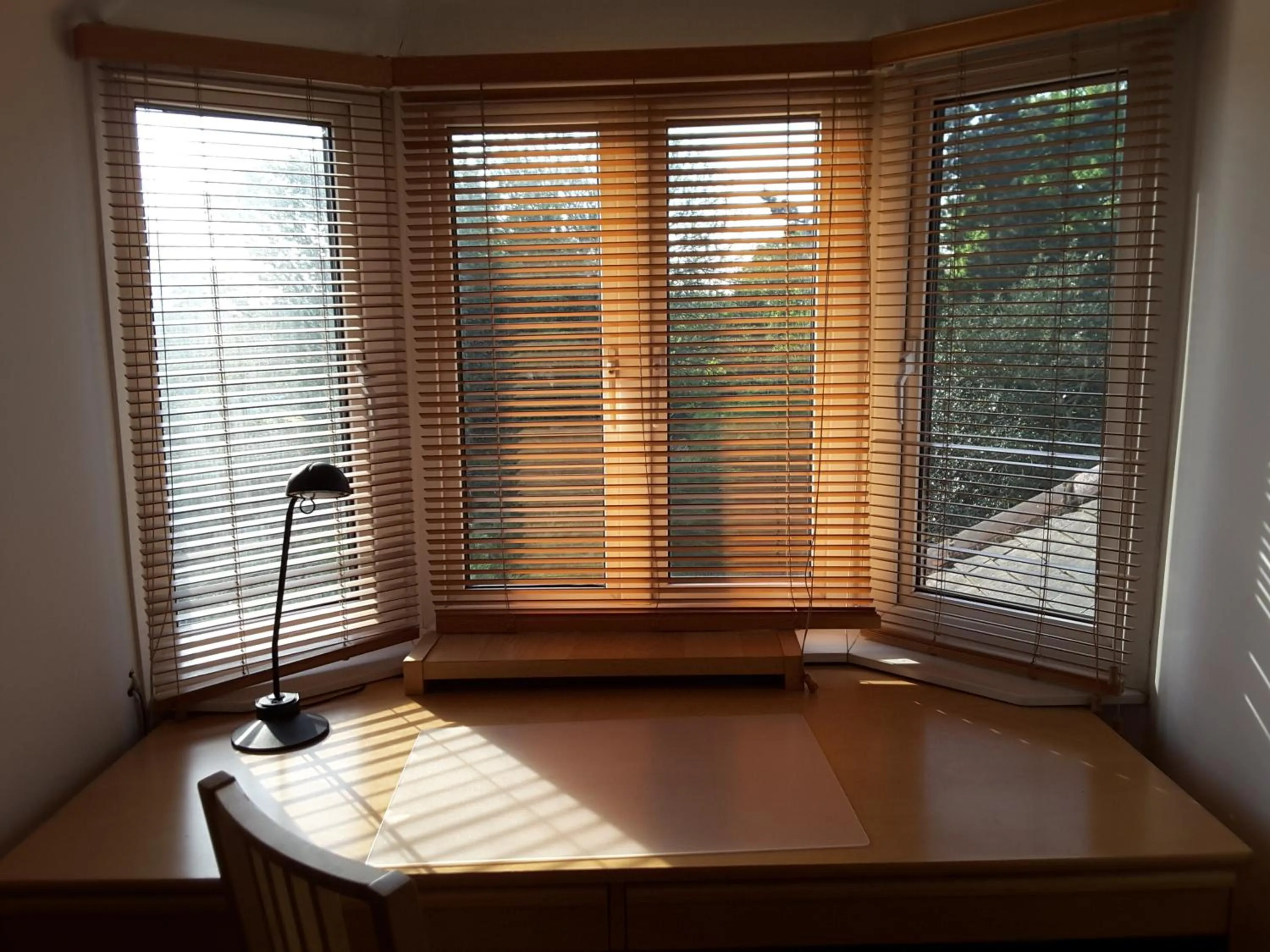 Garden view in Osterley Studio Room