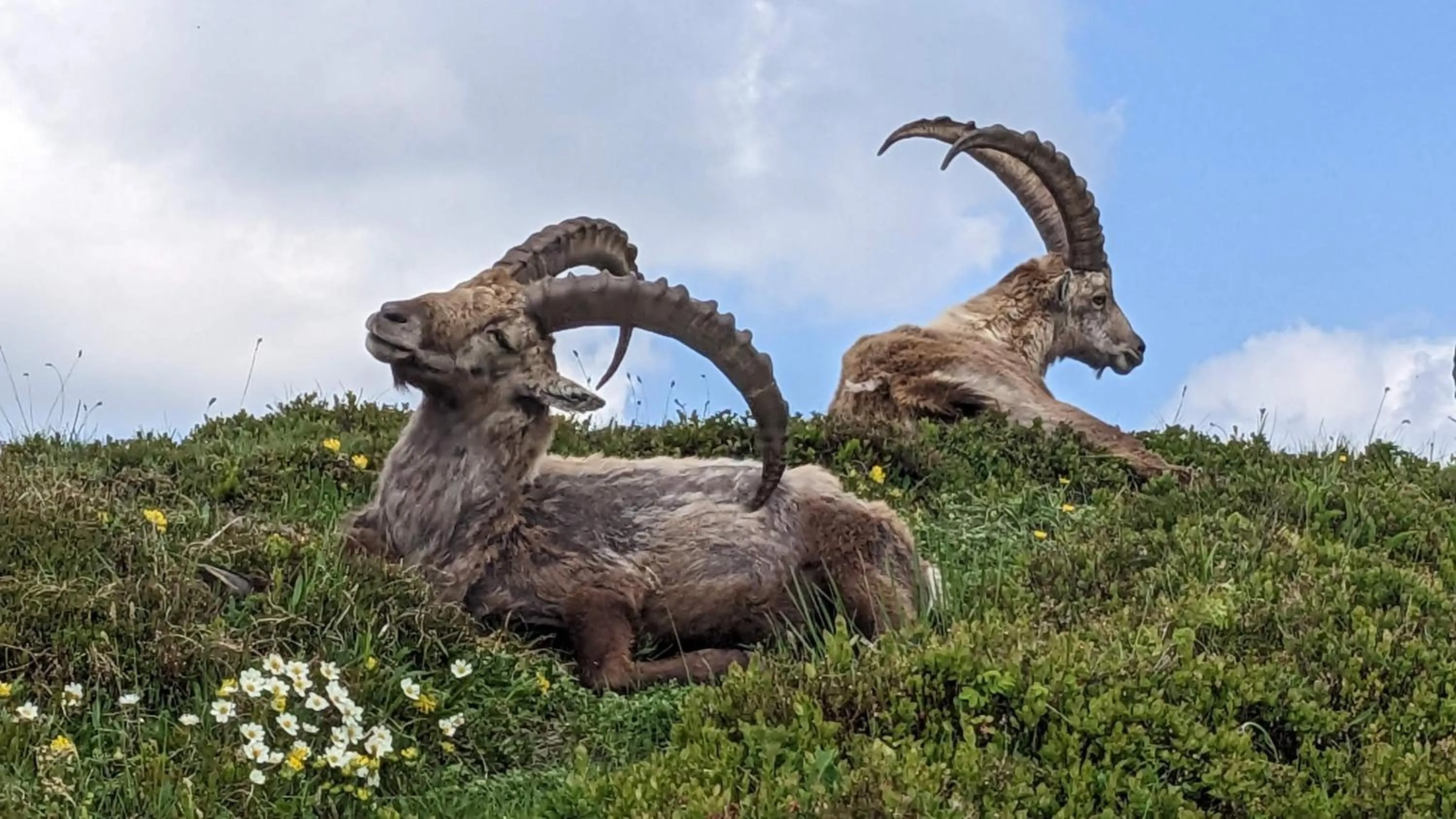 Hiking in Hotel Beau-Séjour