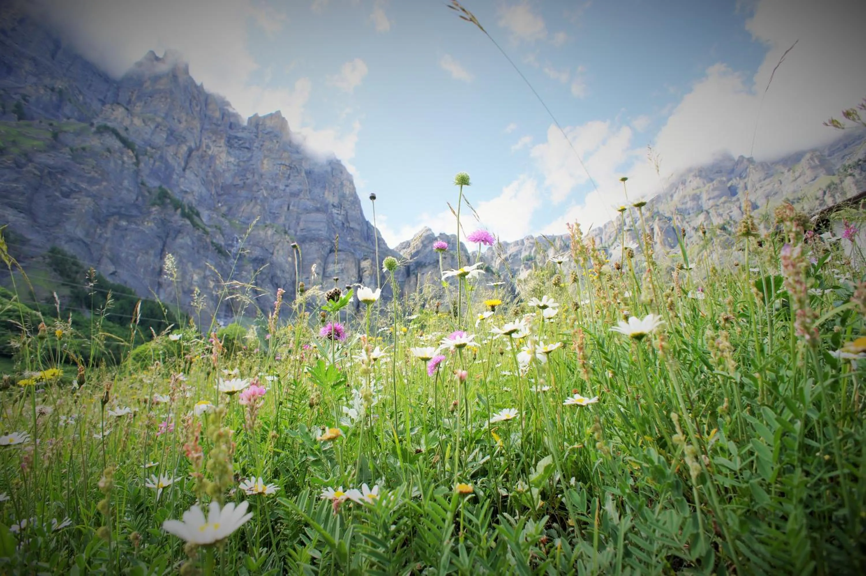 Mountain view in Hotel Beau-Séjour