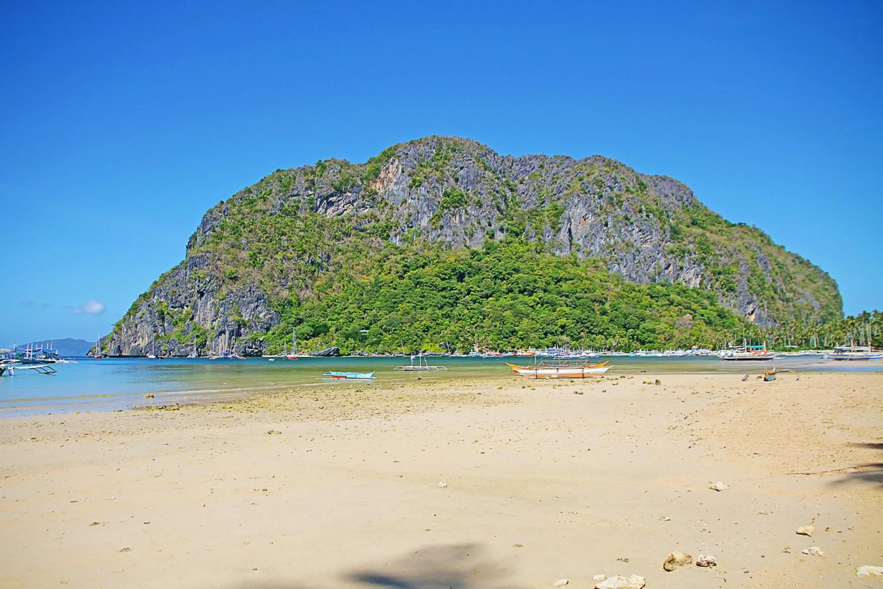 Natural landscape in Last Frontier Beach Resort - Adults Only