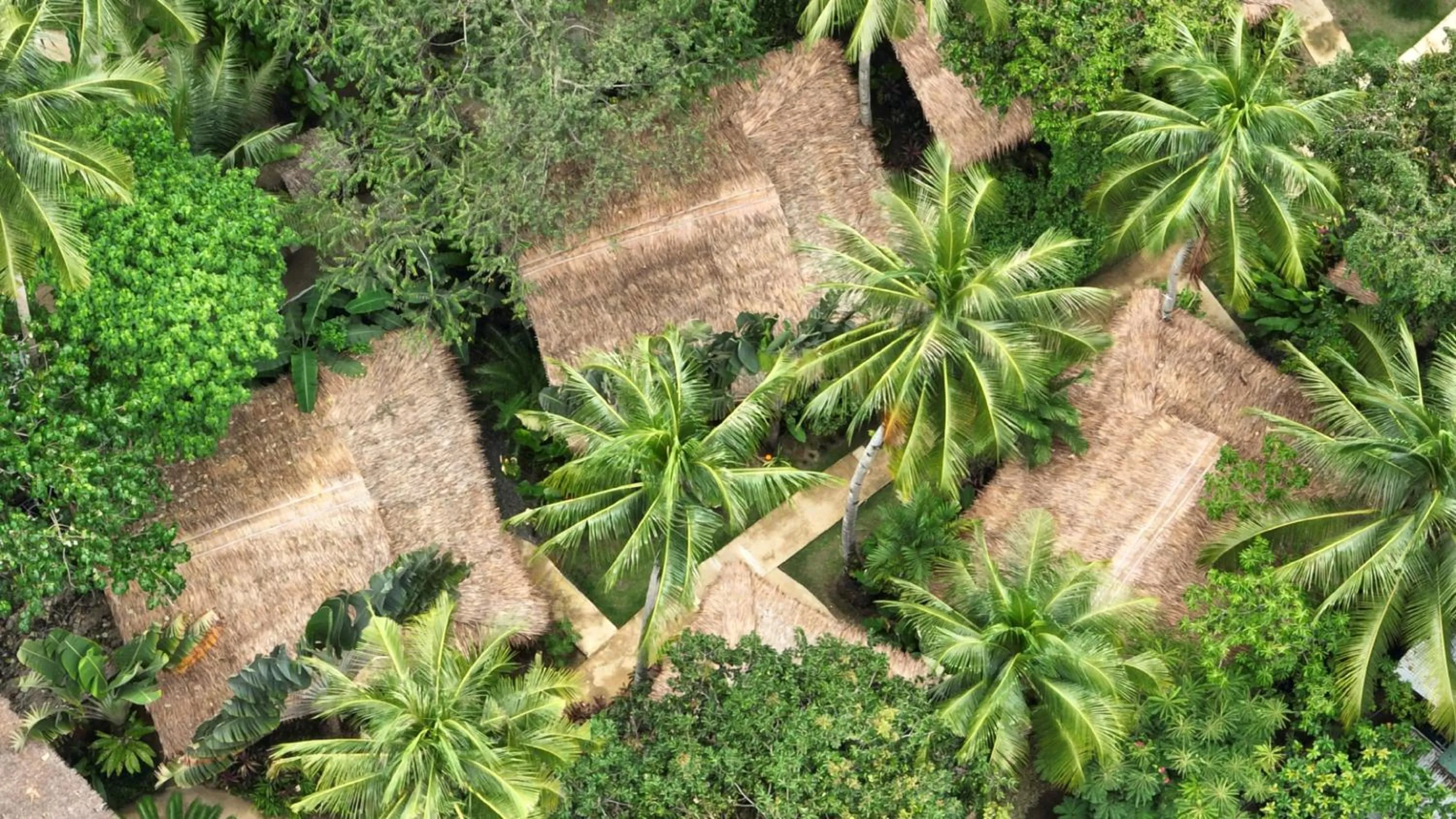 Natural landscape in Last Frontier Beach Resort - Adults Only
