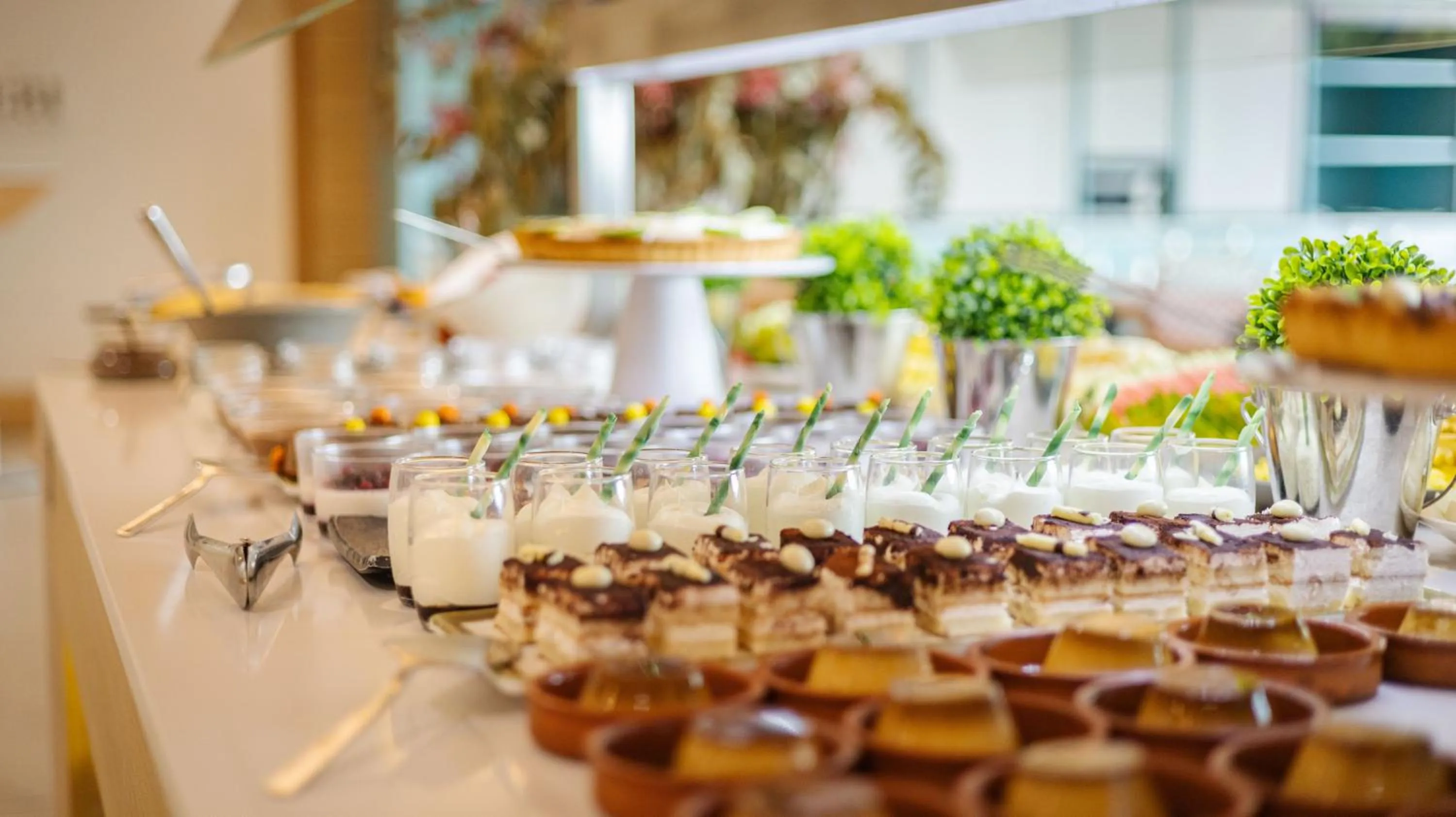 Dinner in Seth 55 Santo Tomas