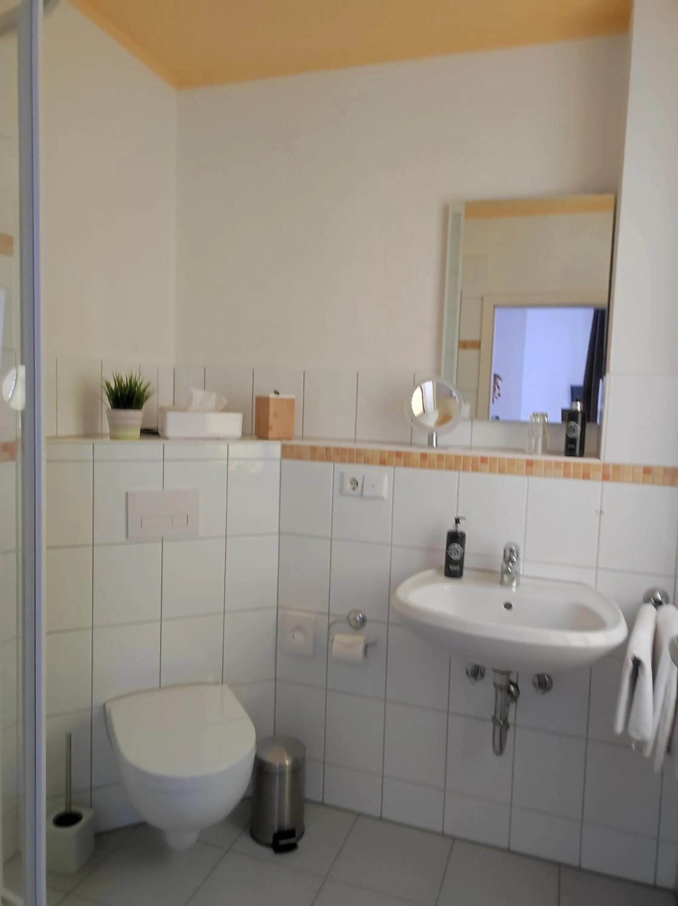 Shower in Hotel Blaue Blume