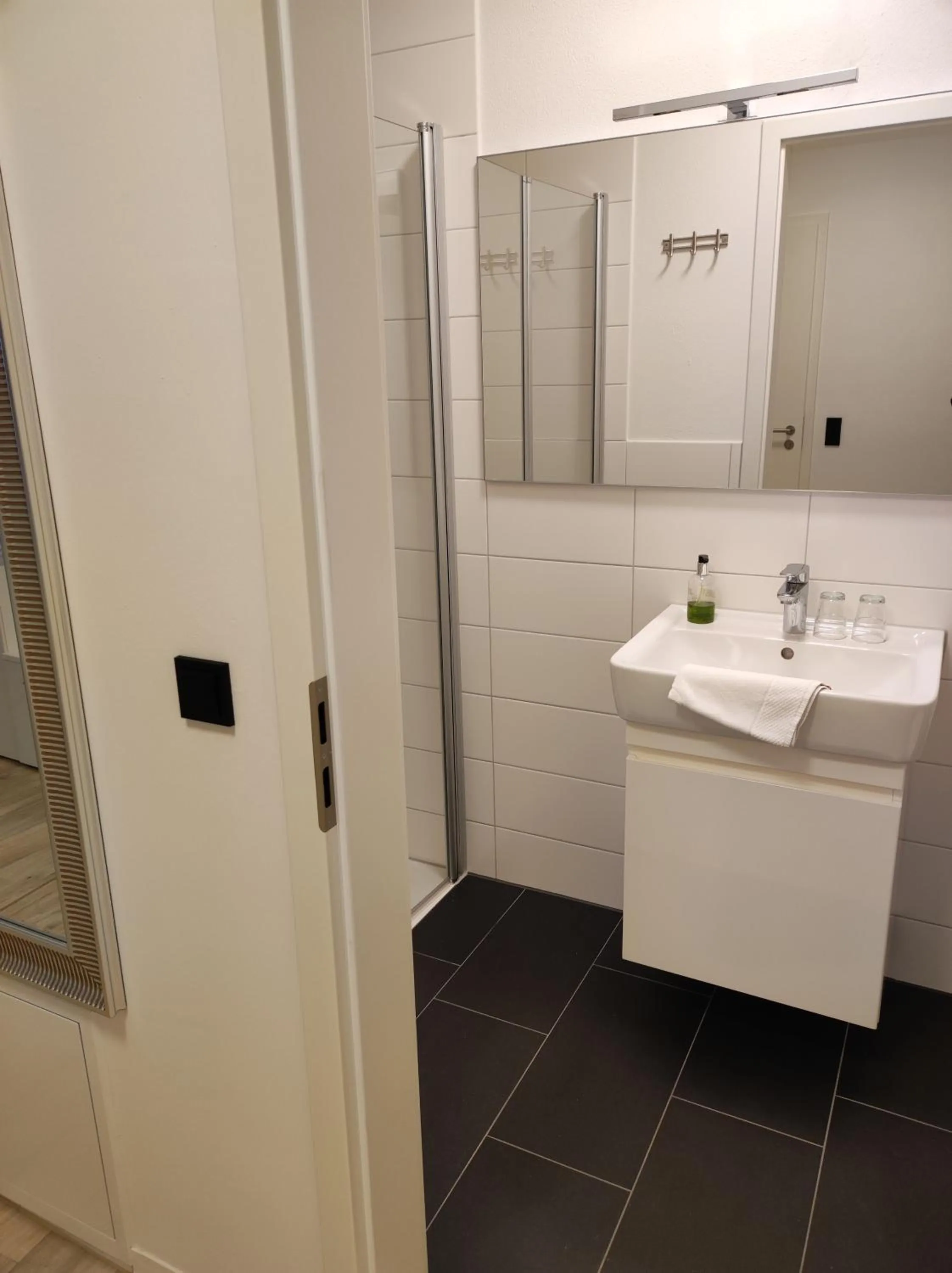 Shower in Hotel Blaue Blume