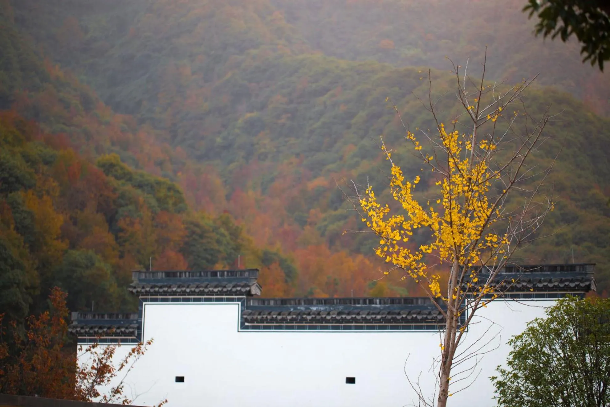 Property building in Pusen Lanting Shaoxing