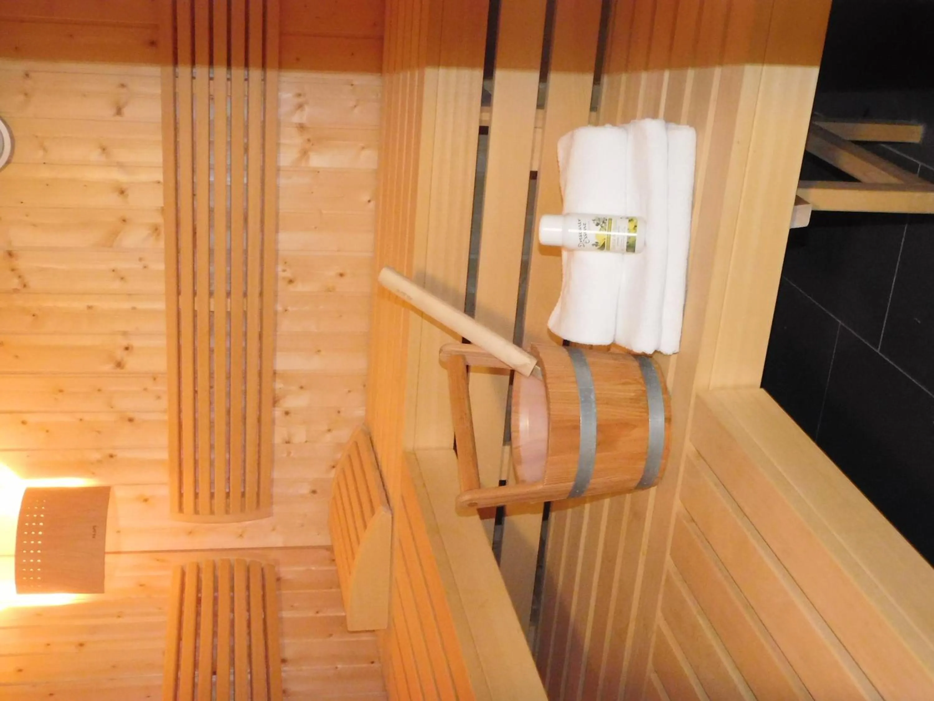 Sauna in Suite Hotel Villa Erika