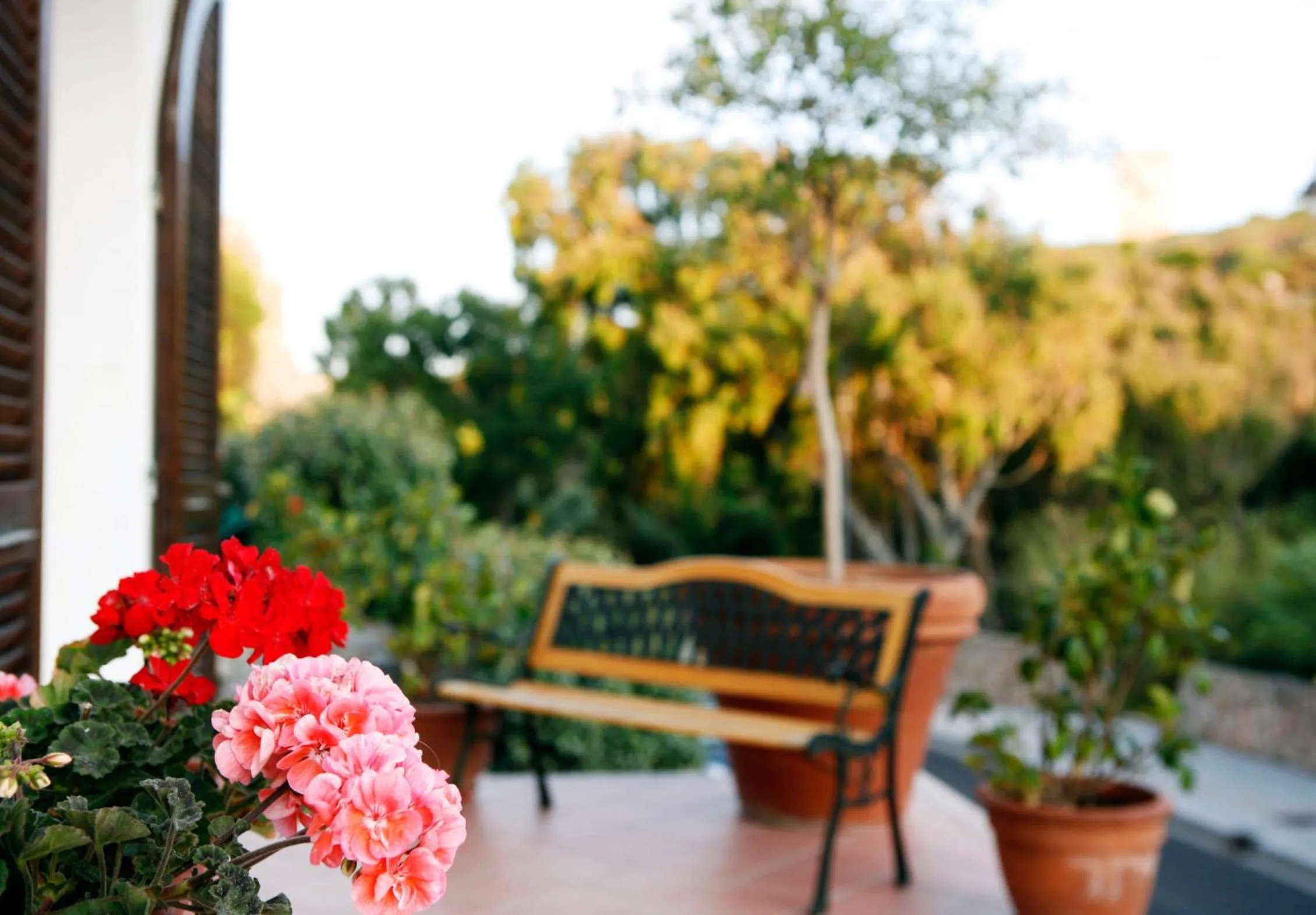 Property building in Casa Gallasso