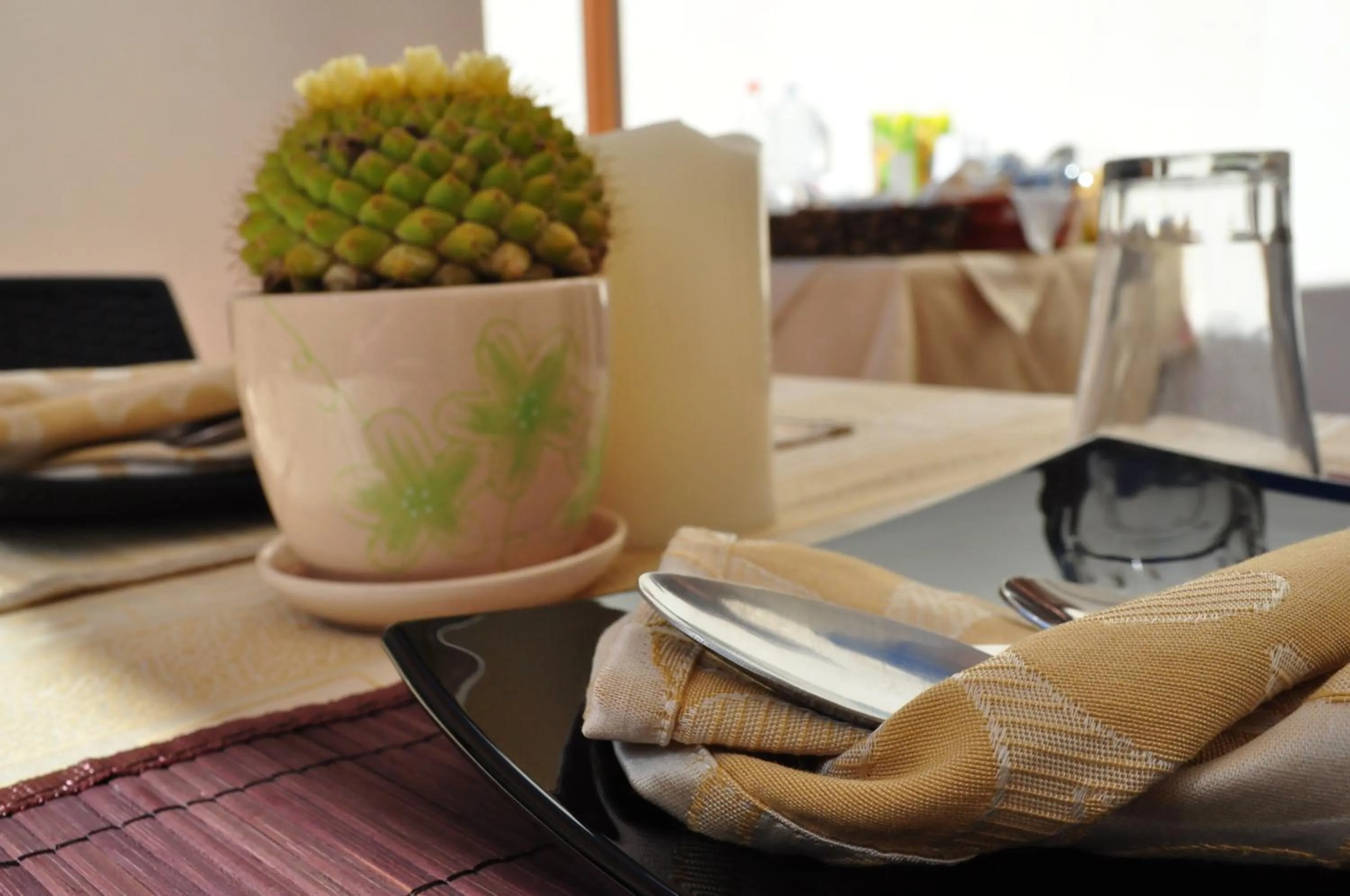 Area and facilities in Bed & Breakfast Adriana